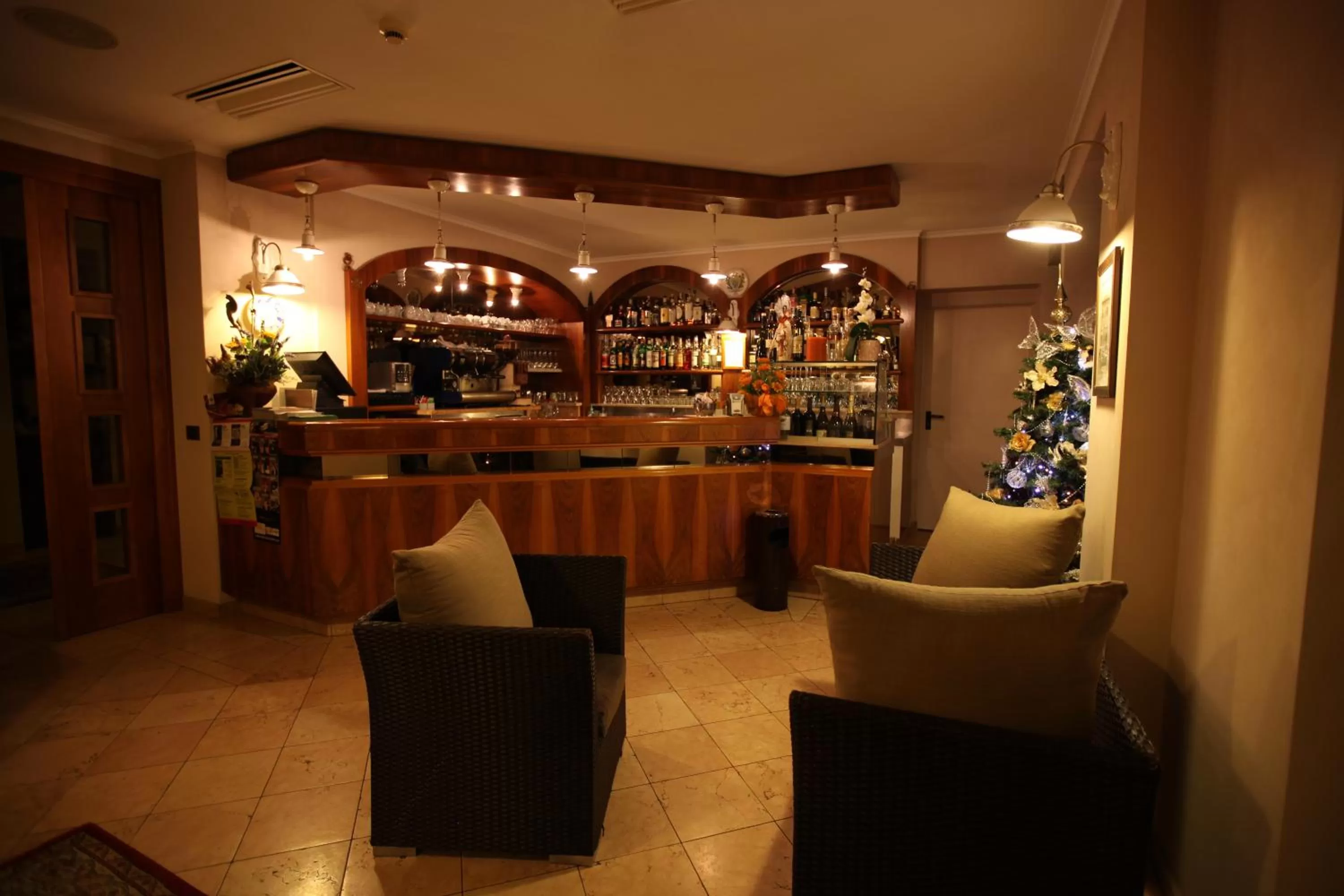 Lounge or bar in Hotel Rosa