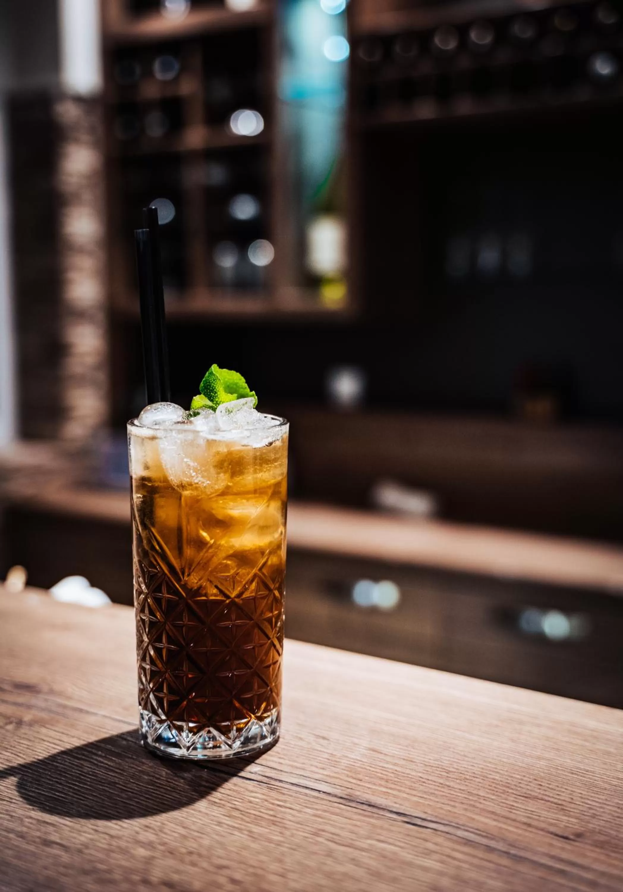 Lounge or bar in Hotel Mirjana & Rastoke