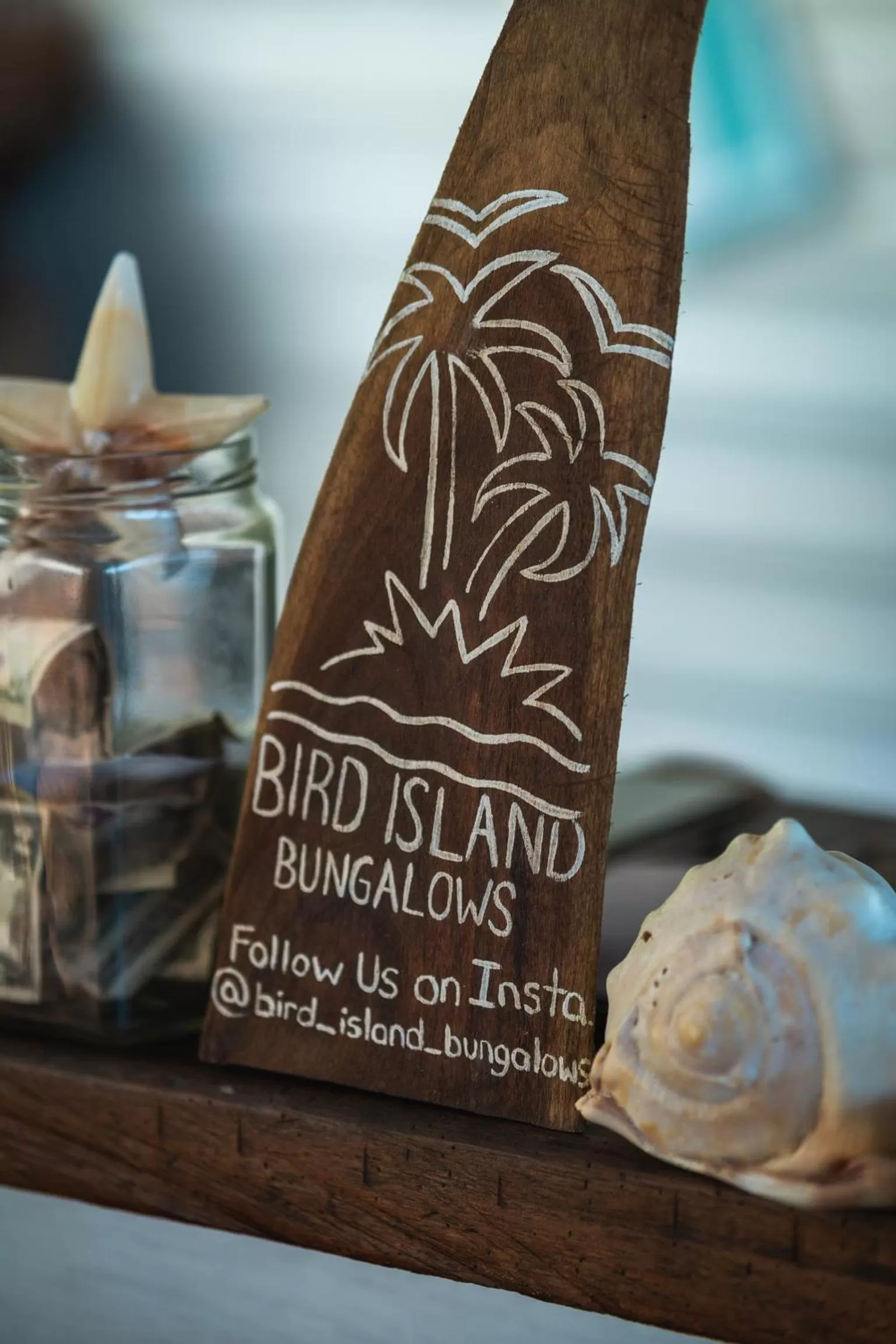 Lounge or bar in Bird Island Bungalows