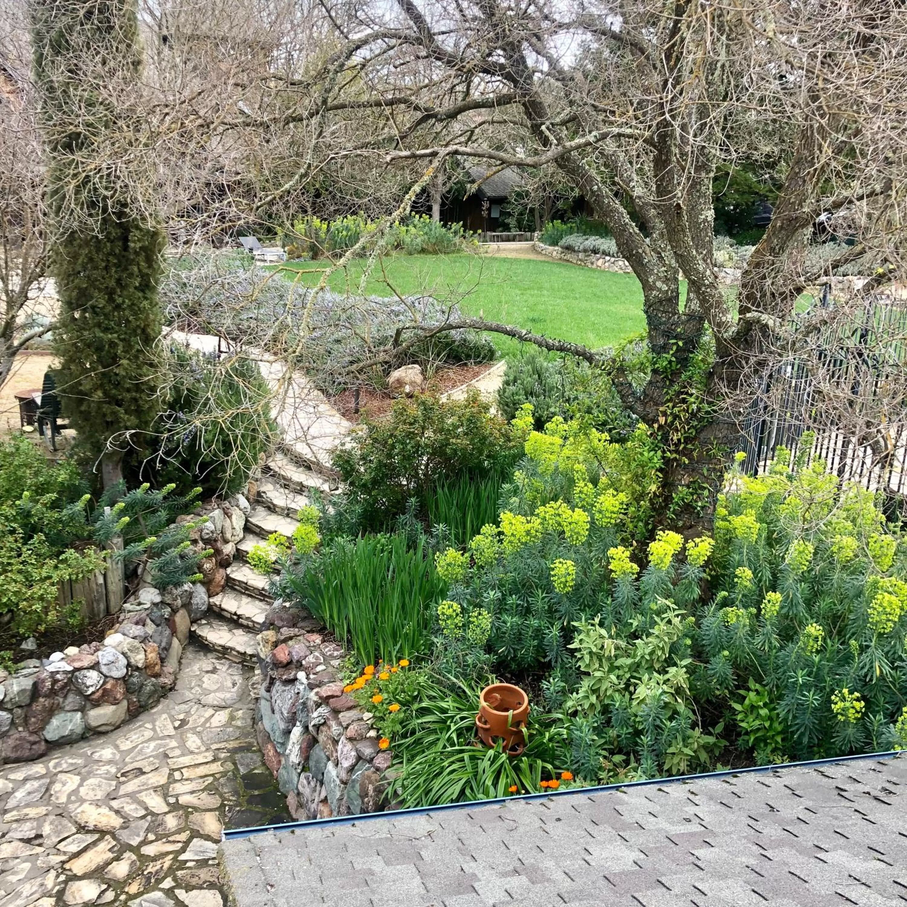 Natural landscape in Inn Paradiso