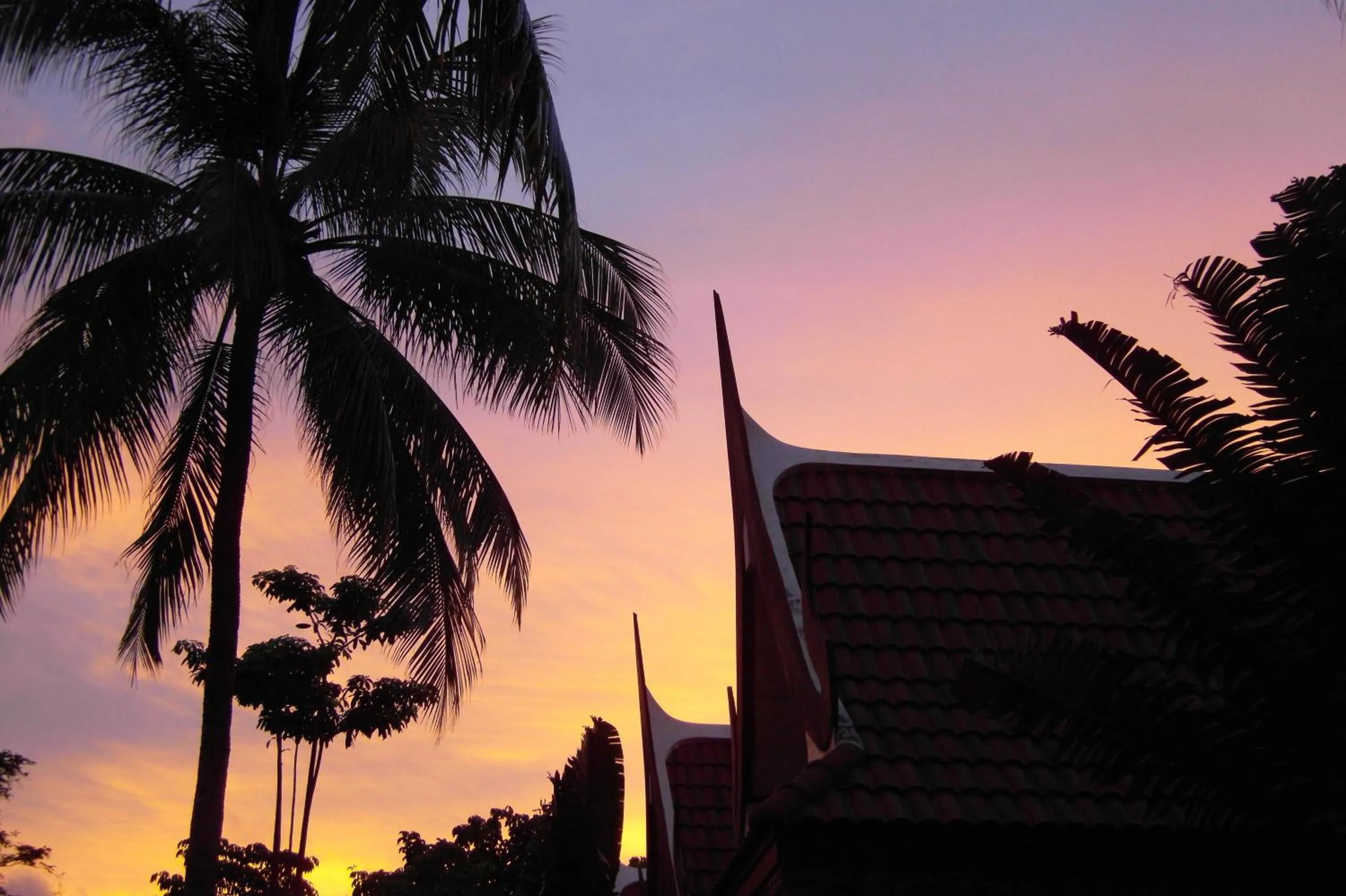 Sunset in Palm Village