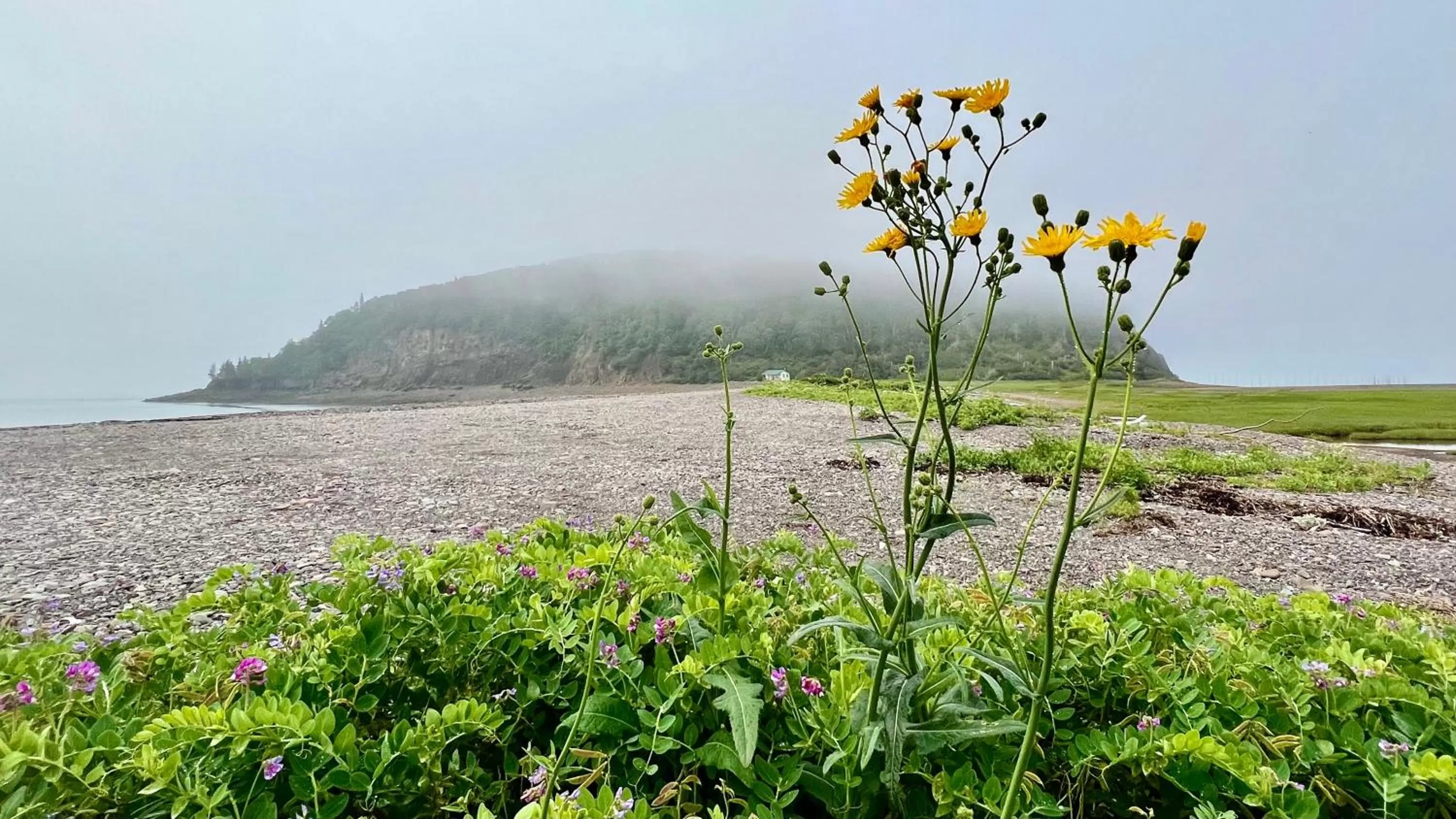 Nearby landmark in Pleasant Street Inn