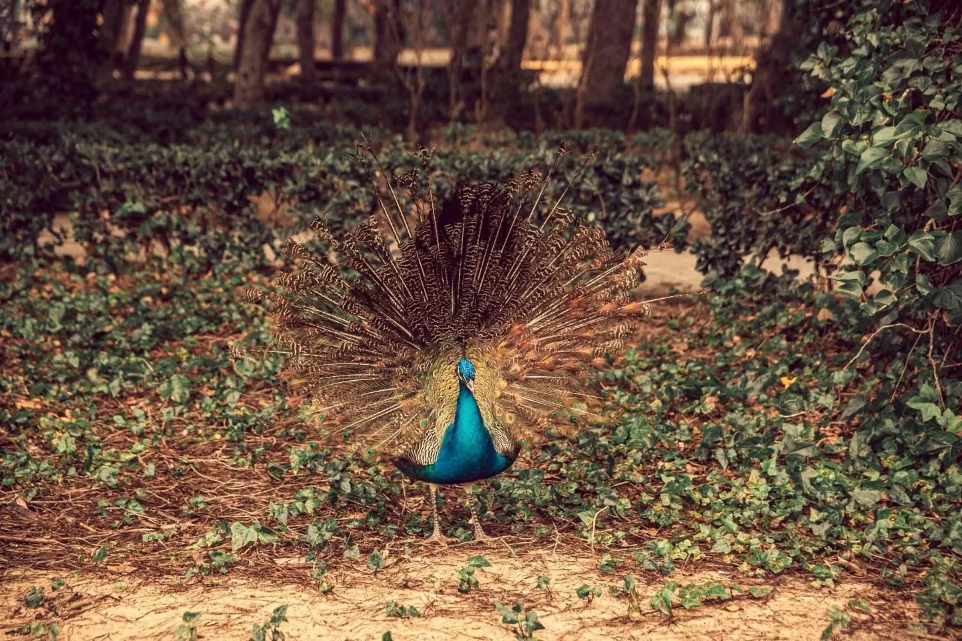 Other in Hotel ParqueMar