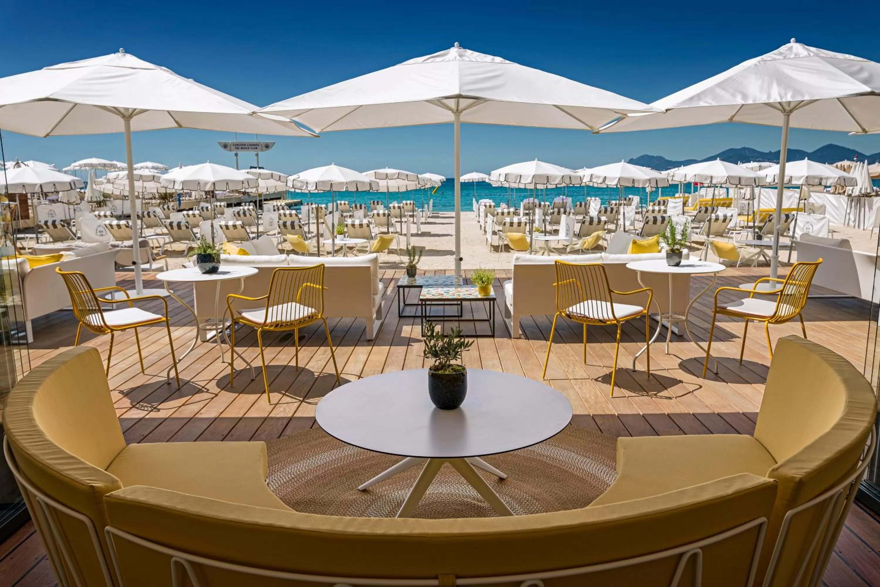 Restaurant/places to eat in Carlton Cannes, a Regent Hotel