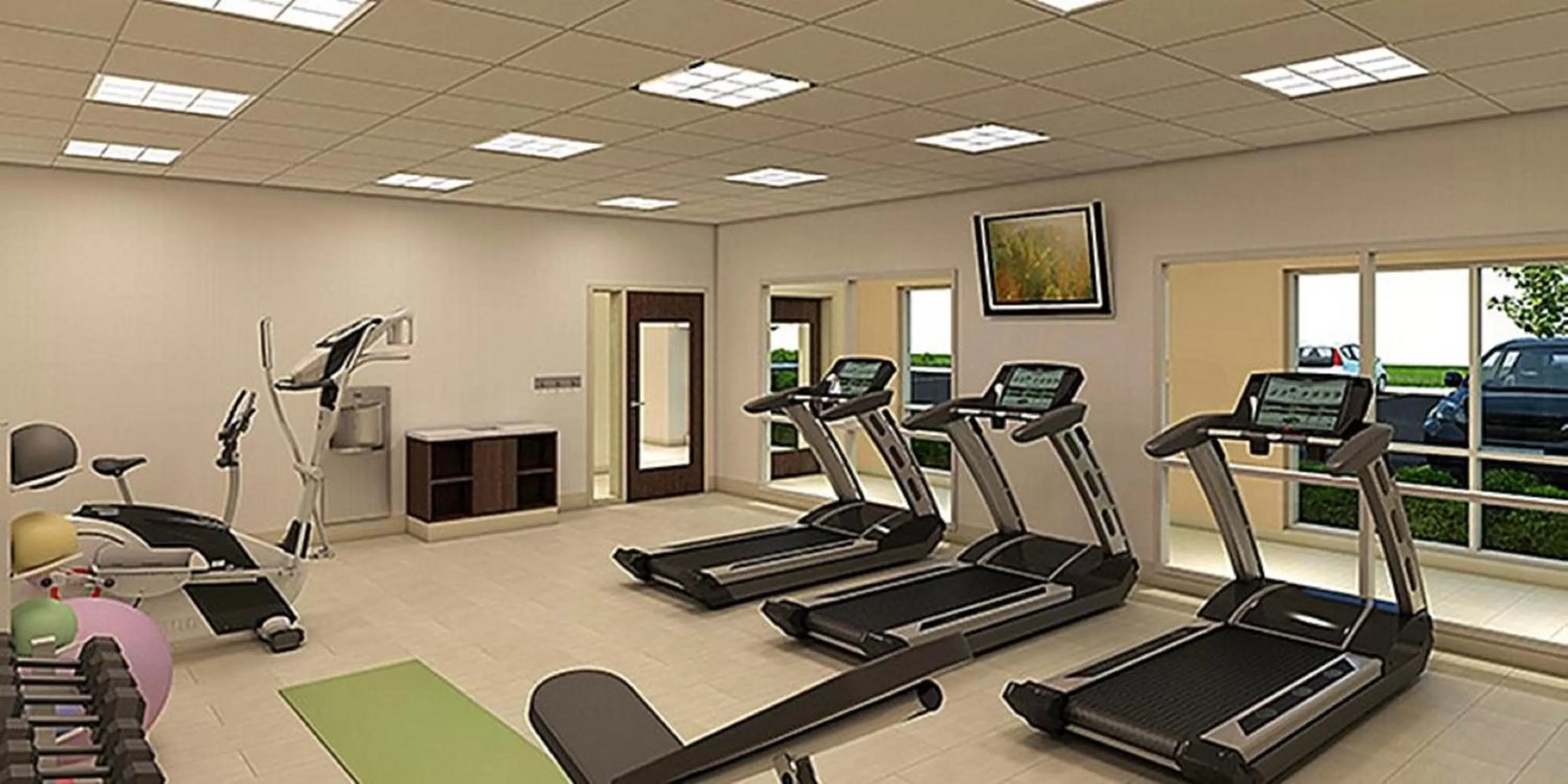 Fitness centre/facilities in Holiday Inn Express & Suites - Greenville - Taylors by IHG