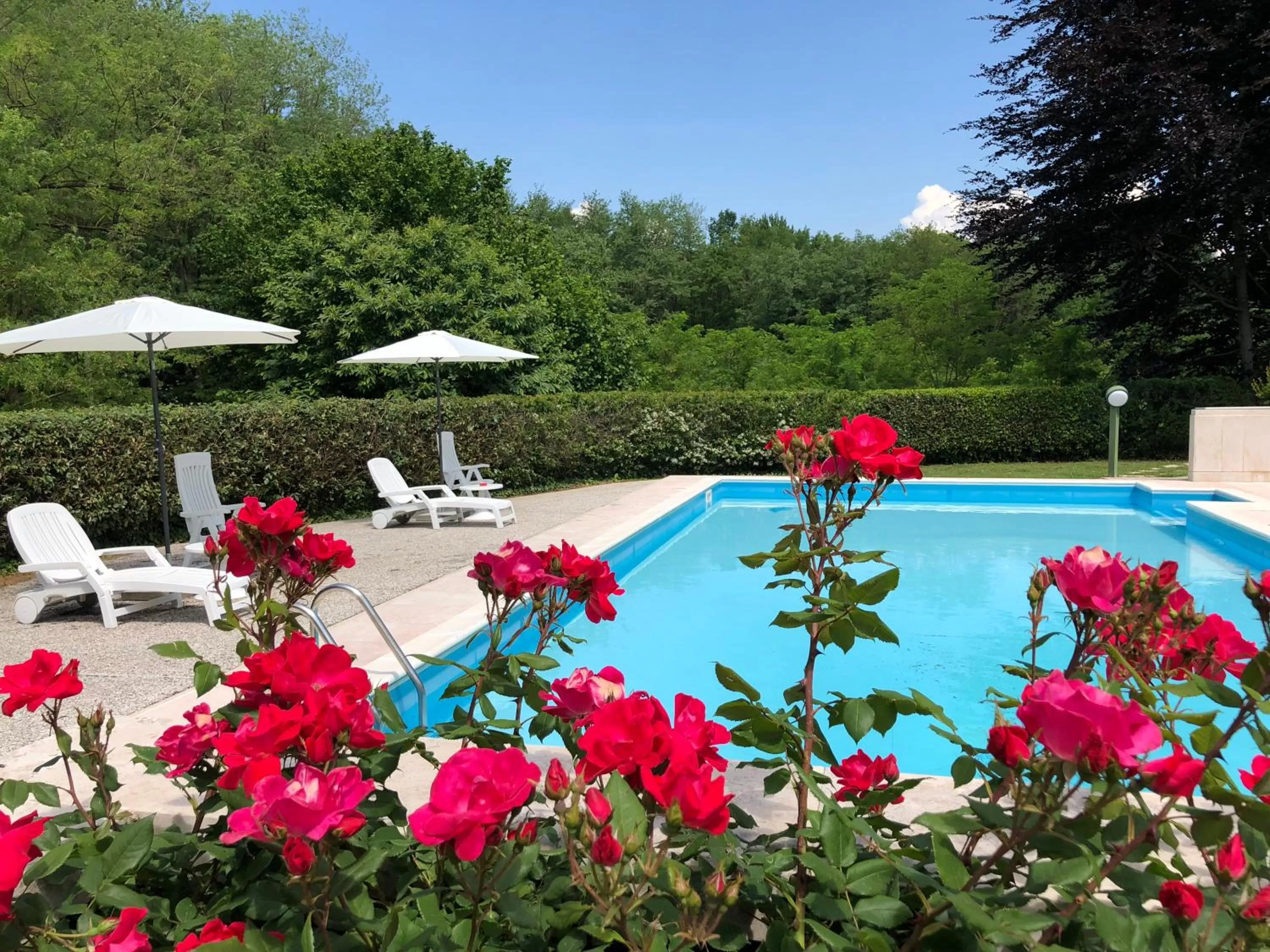 Swimming pool in Villa Fior di Robinia