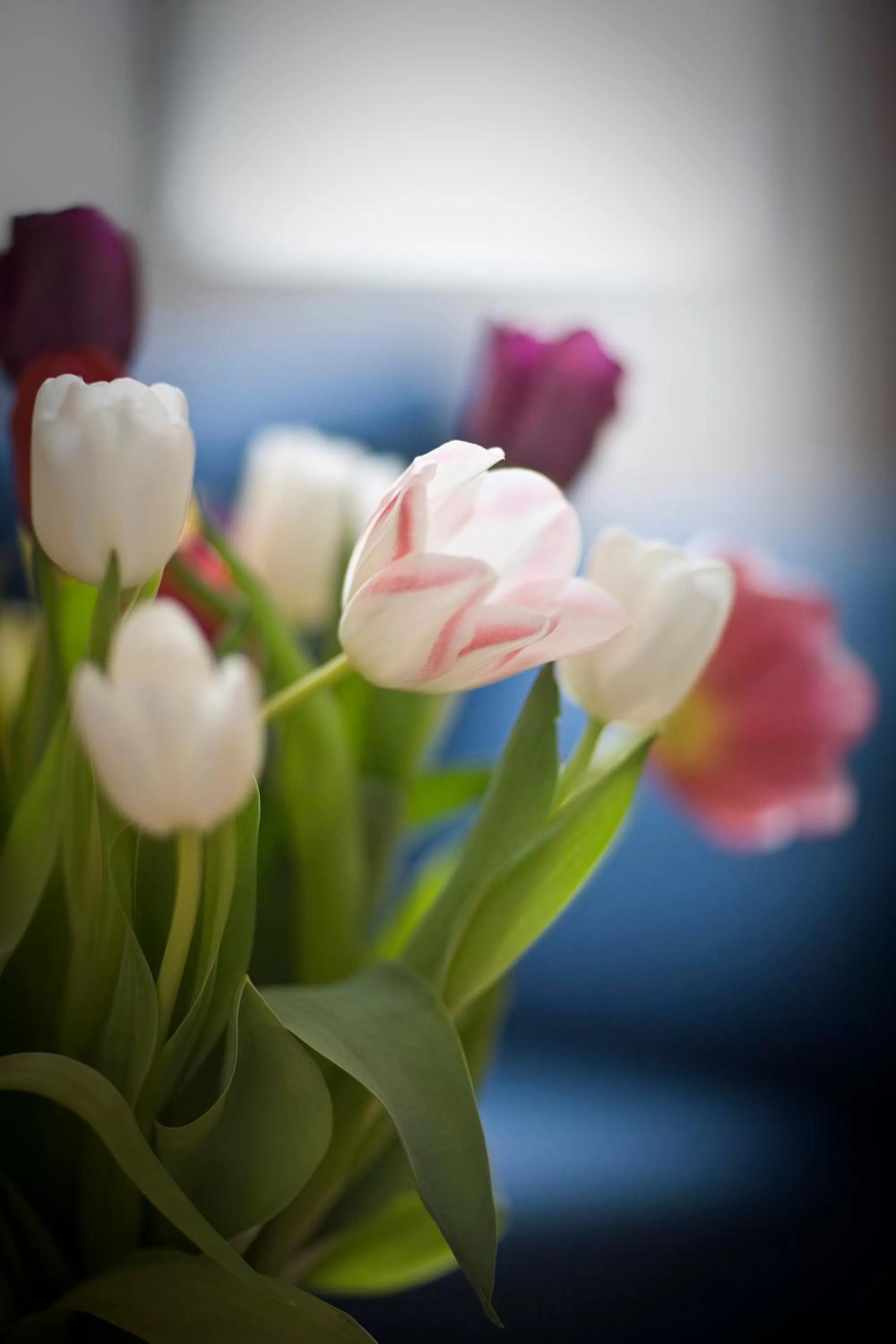 Other in Insjöns Hotell