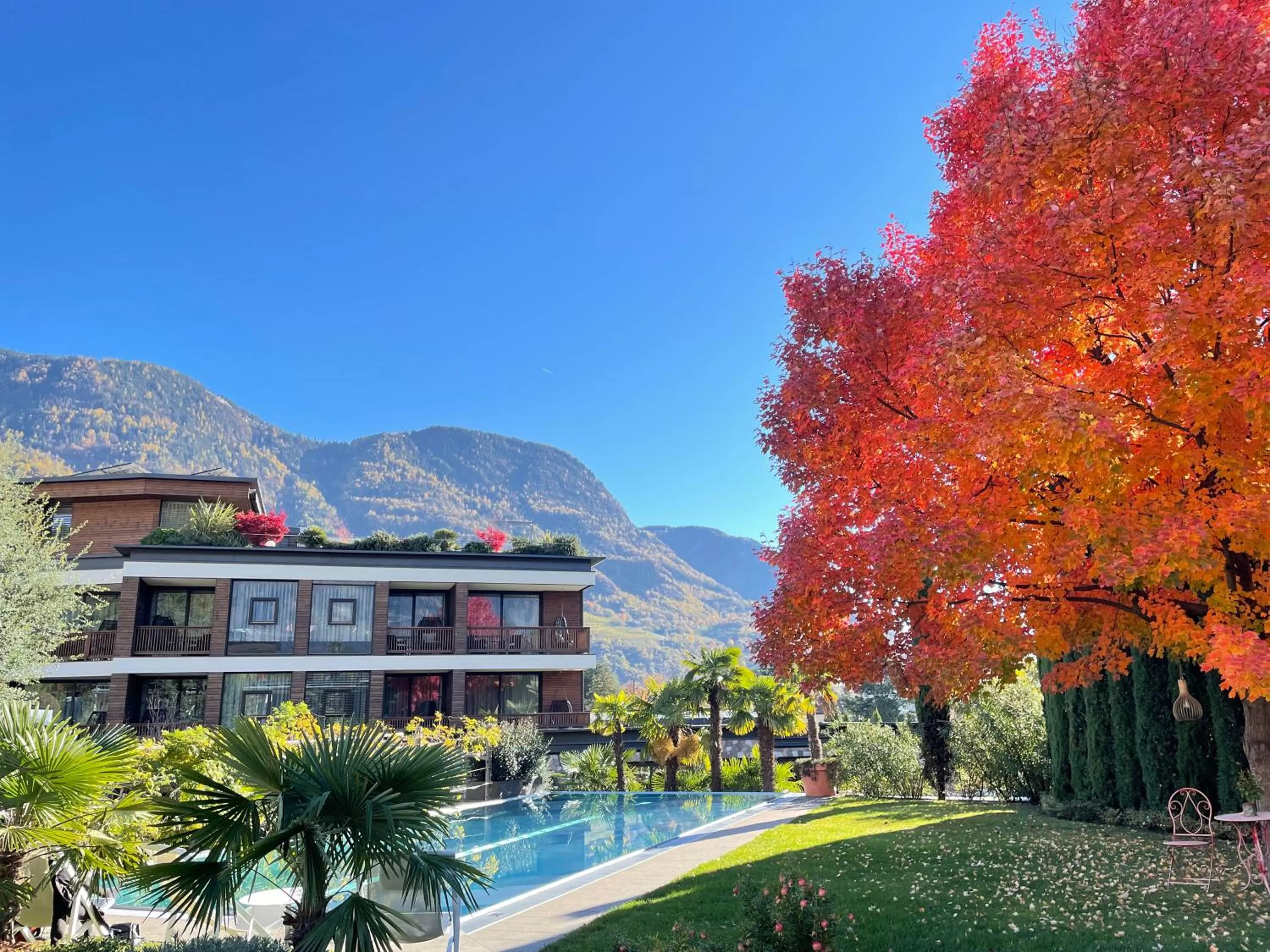 Garden in Hotel Ansitz Plantiz