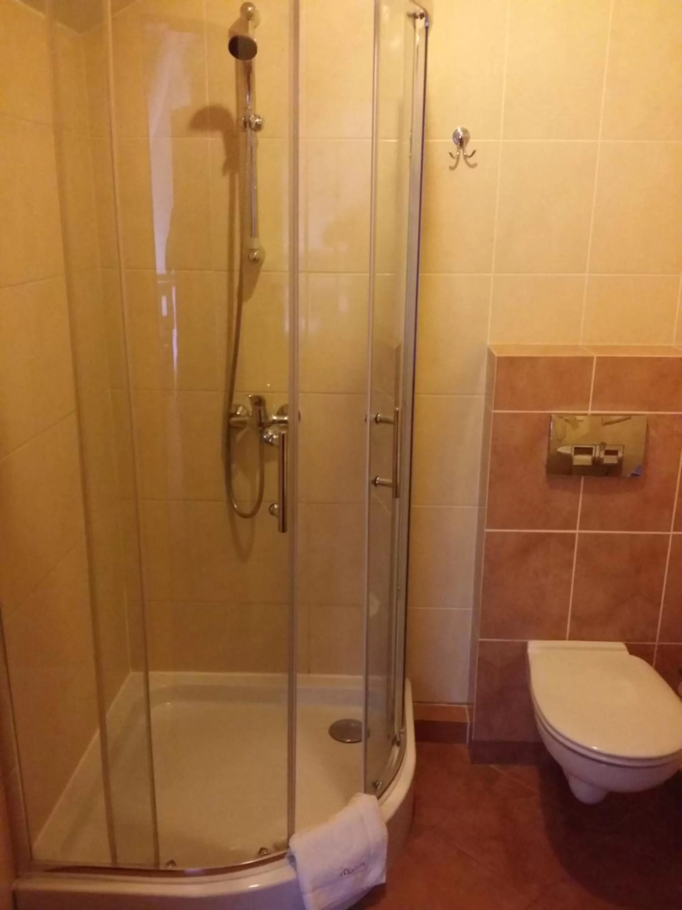 Bathroom in Hotel Martex