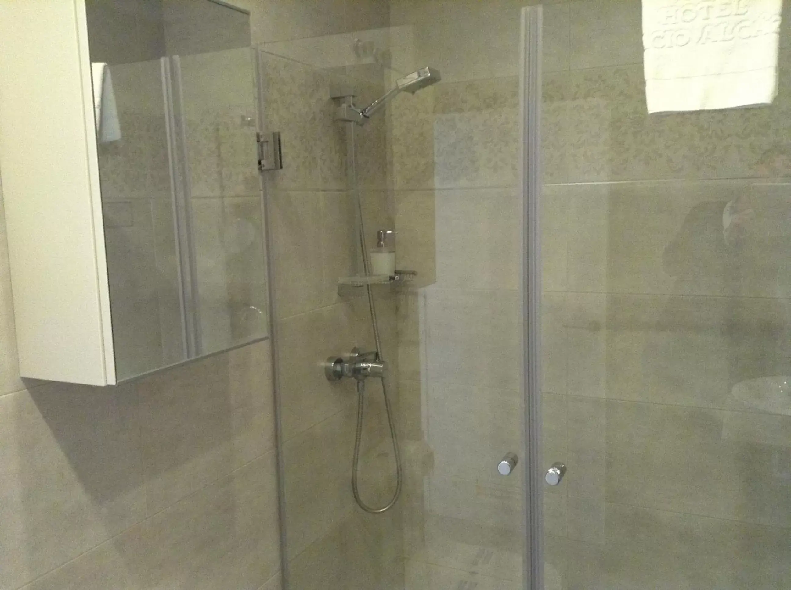 Economy Double Room in Hotel Palacio Alcázar Economy Double Room in Hotel Palacio Alcázar