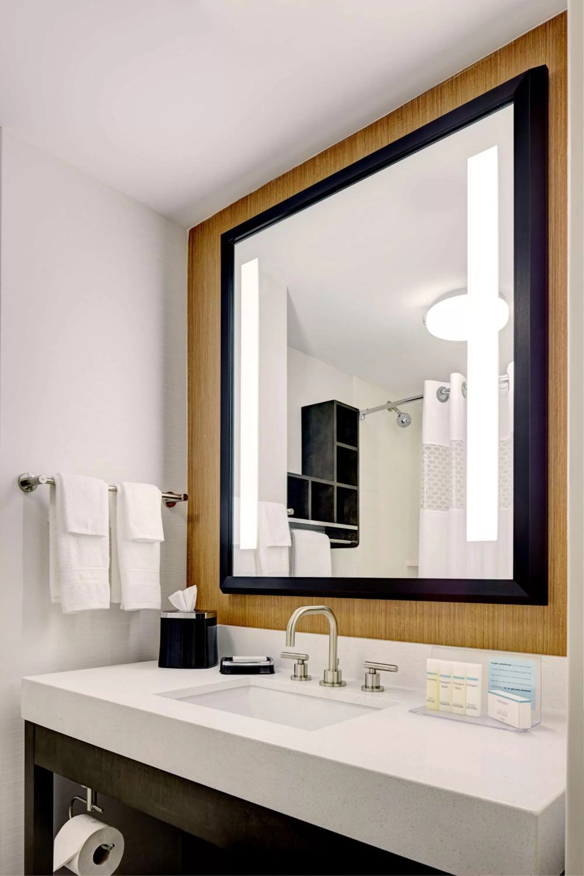 Bathroom in Hampton Inn Brooklyn Downtown