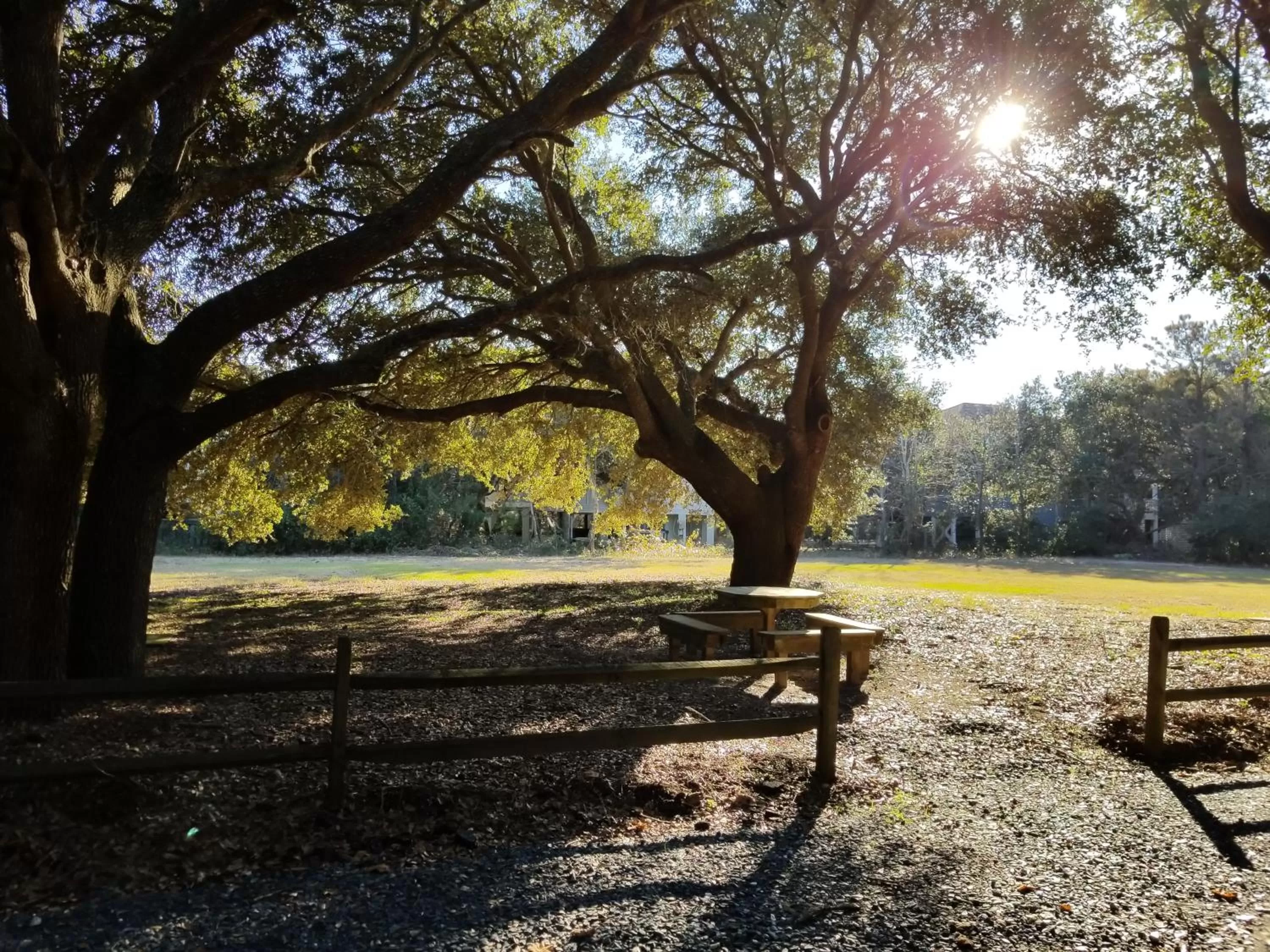 Natural landscape in Ocean Pines Resort