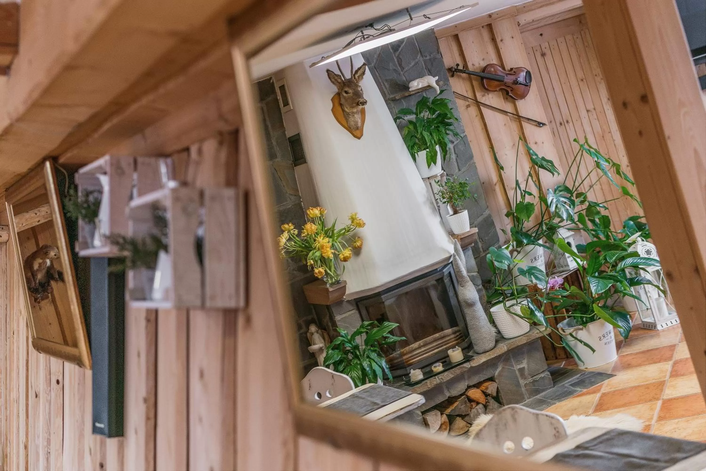 Dining area in Pokoje Gościnne U Małgorzaty Jacuzzi & Sauna