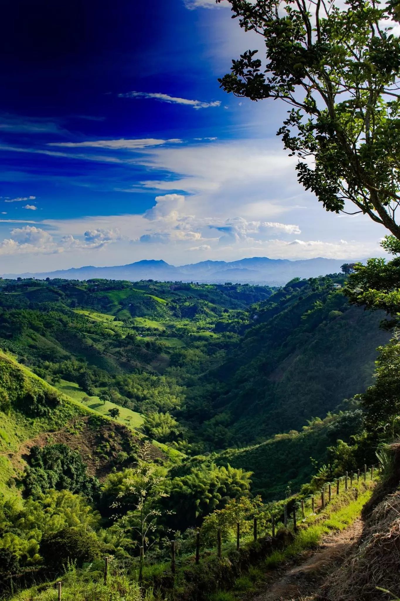 Villa Cristina - Casa Boutique