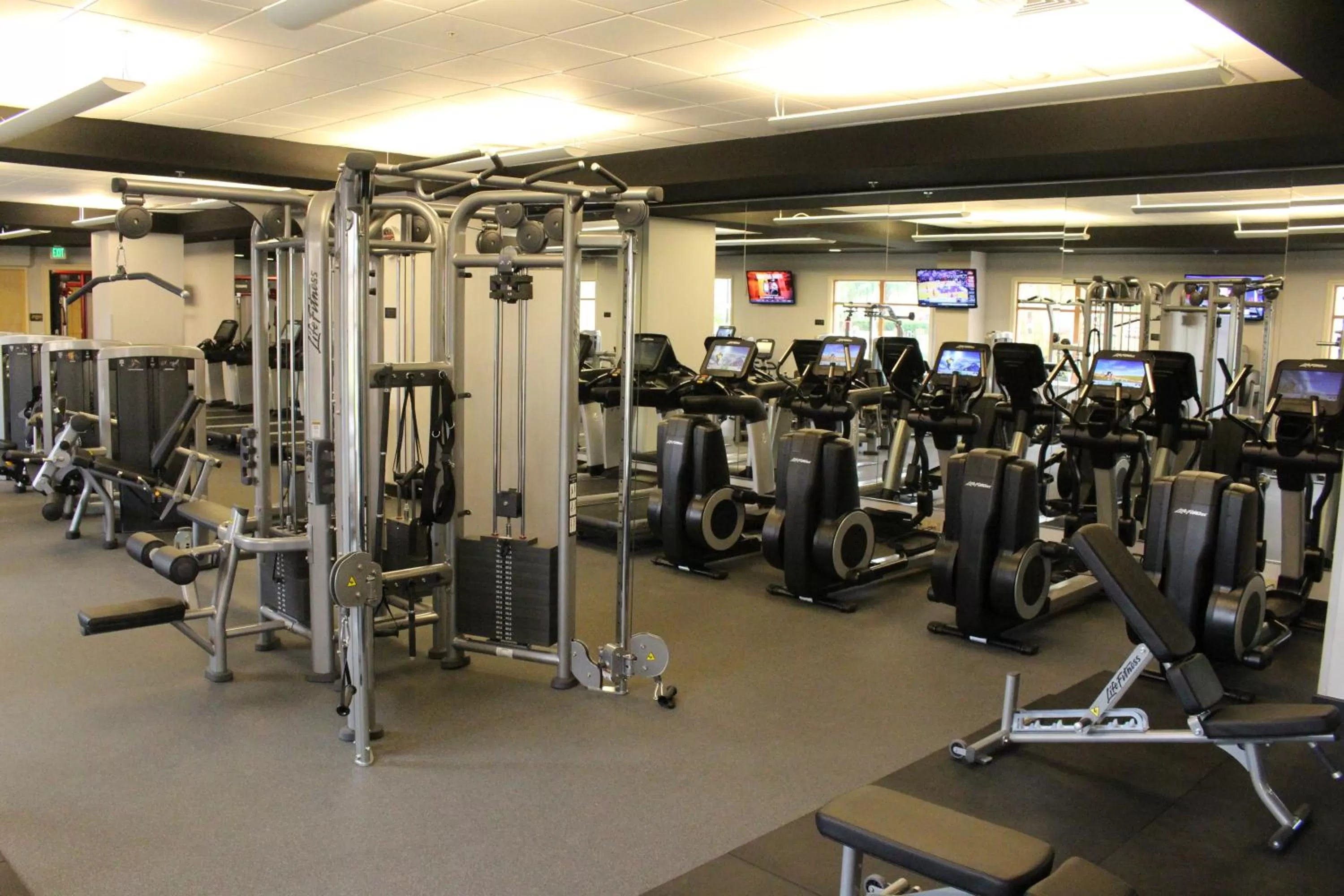 Activities in Rosen Shingle Creek Universal Blvd