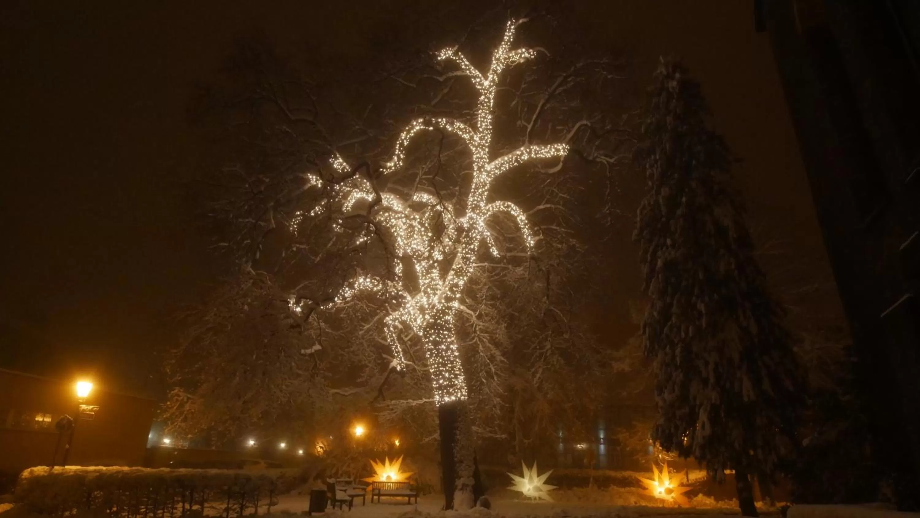 Area and facilities in Harz Hostel
