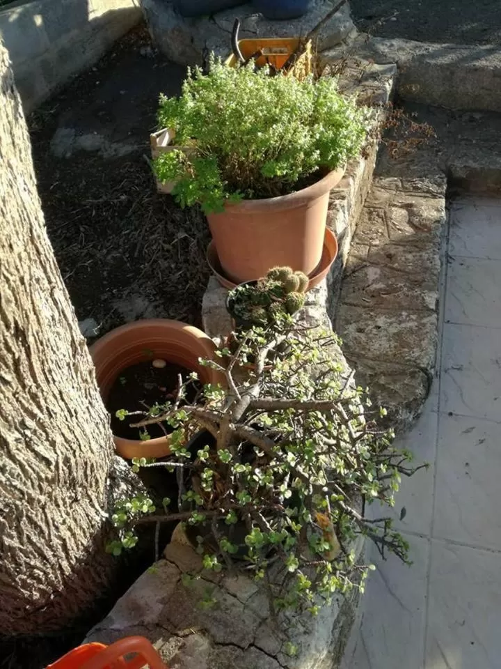 Le Dimore Del Sarto Polignano a mare