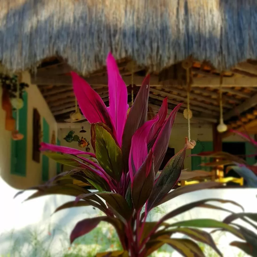 Property building in Pousada Villages Boutique Hotel