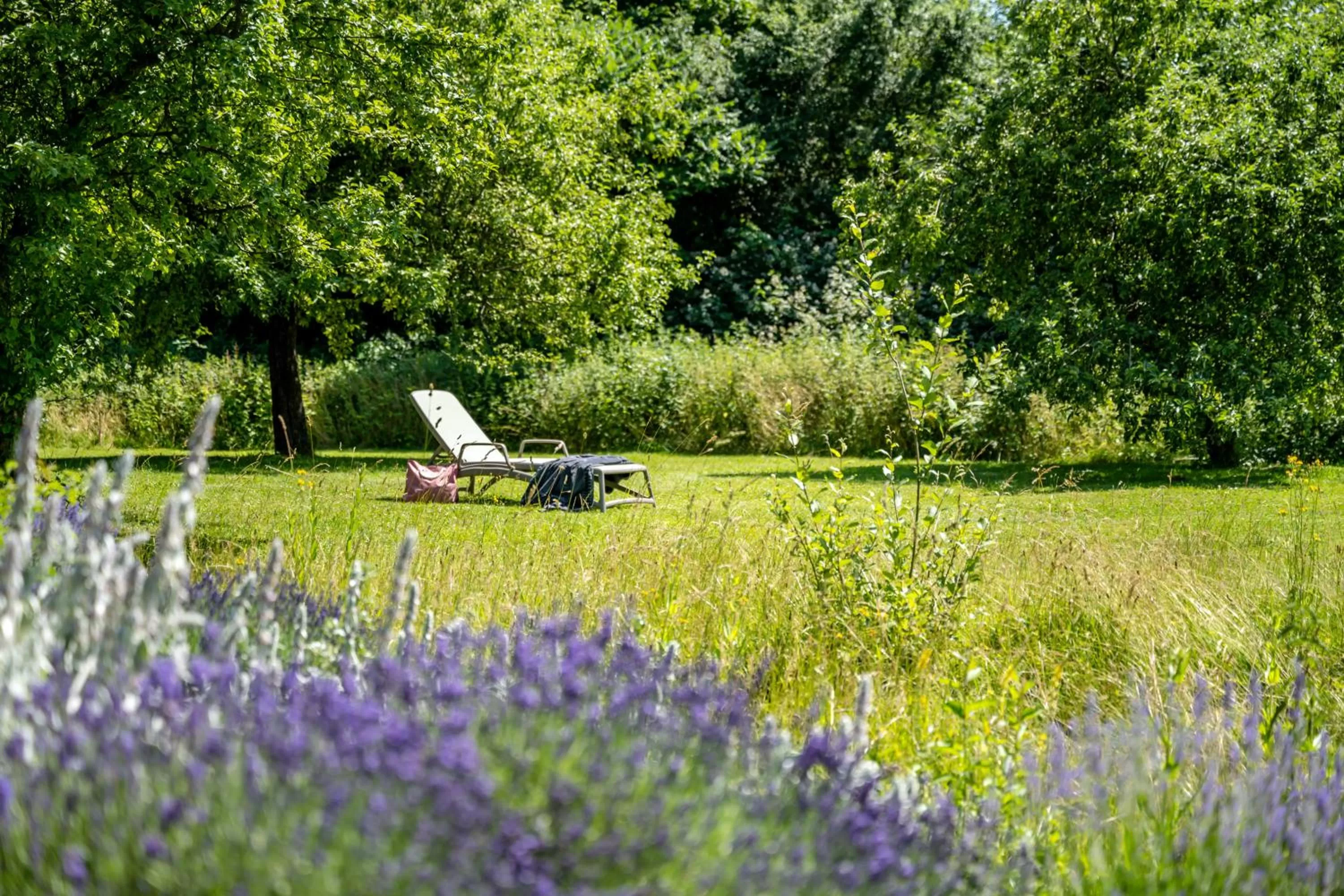 Garden in Hotel am Haslinger Hof