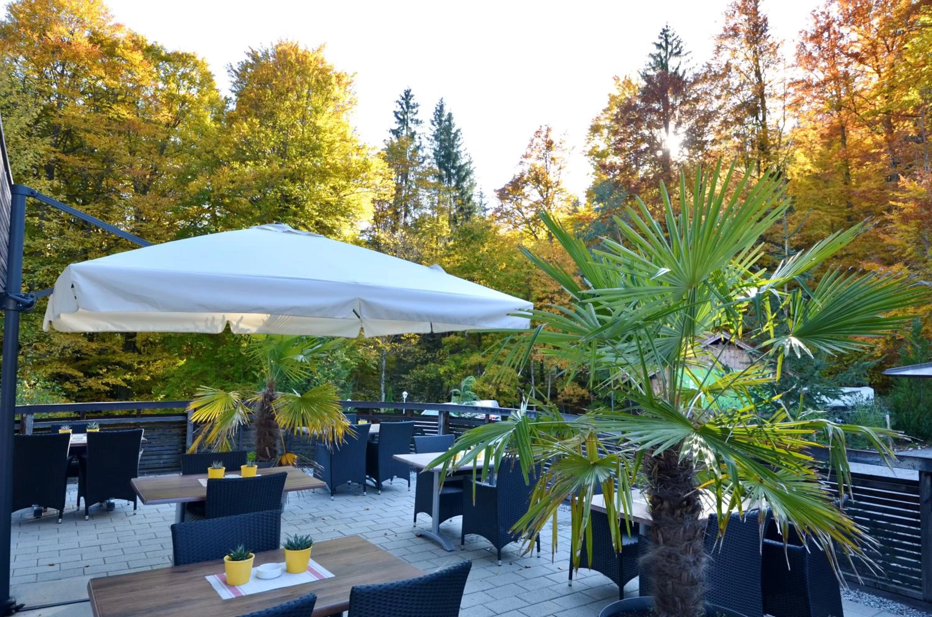 Balcony/Terrace, Restaurant/Places to Eat in Naturhotel Café Waldesruhe