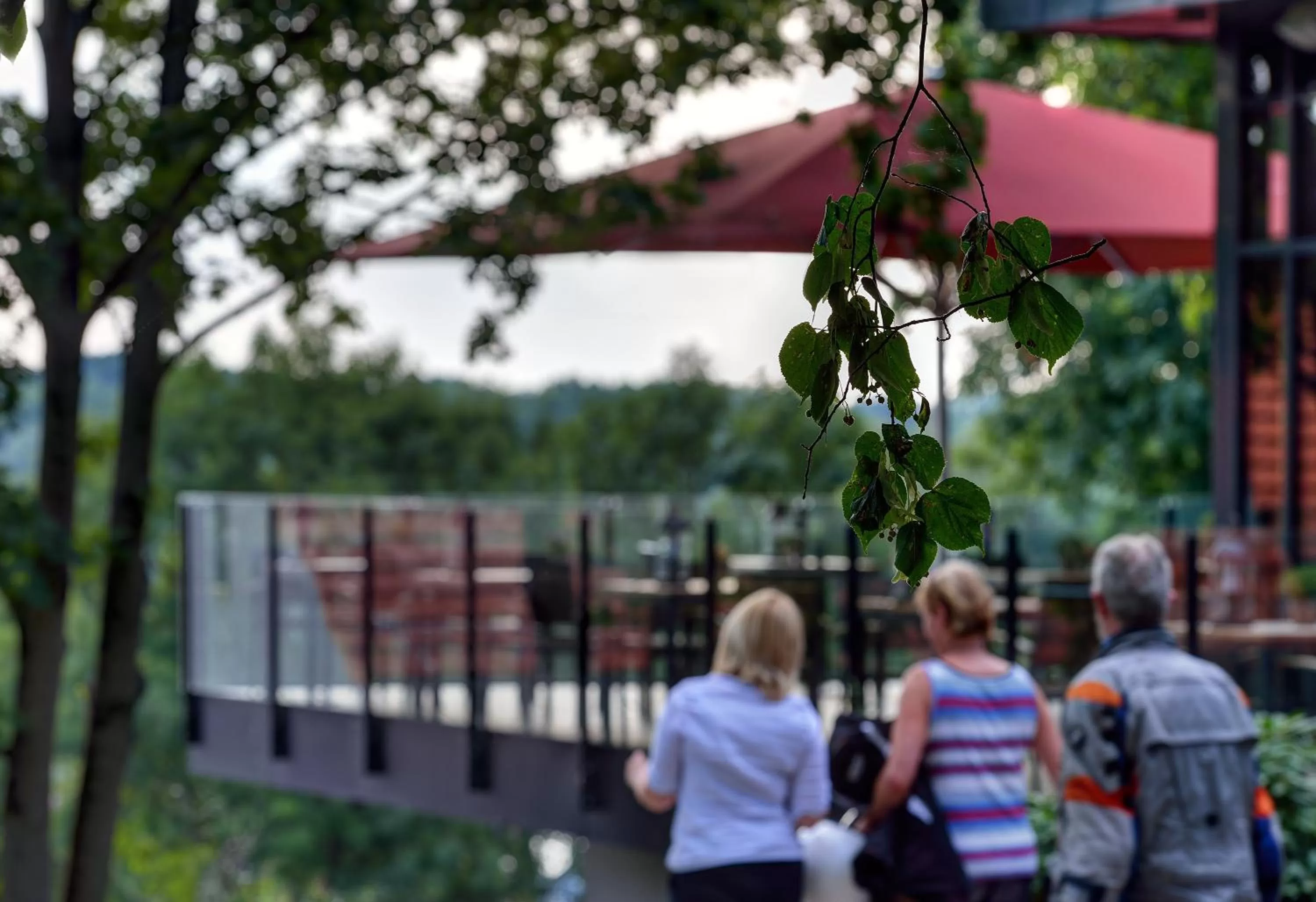 Balcony/Terrace in ARTHOTEL Kiebitzberg