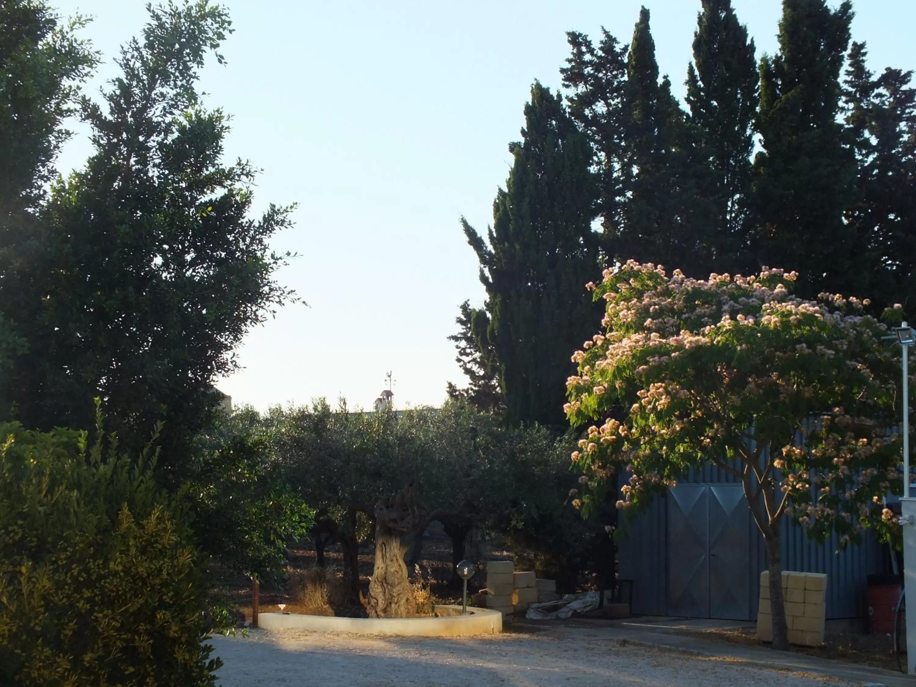 Natural landscape in SiciliAntica