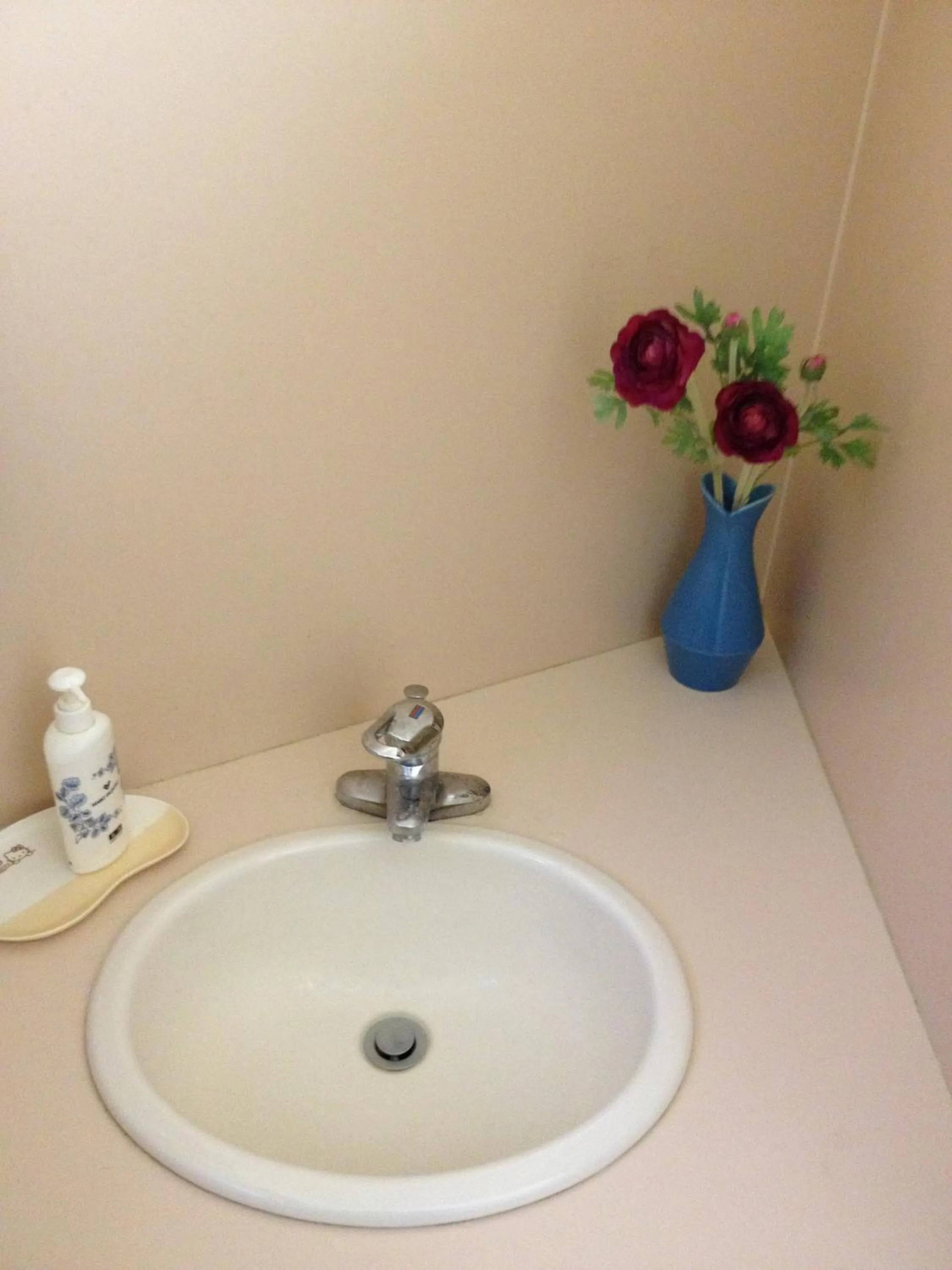 Bathroom in Minshuku Iwatakan