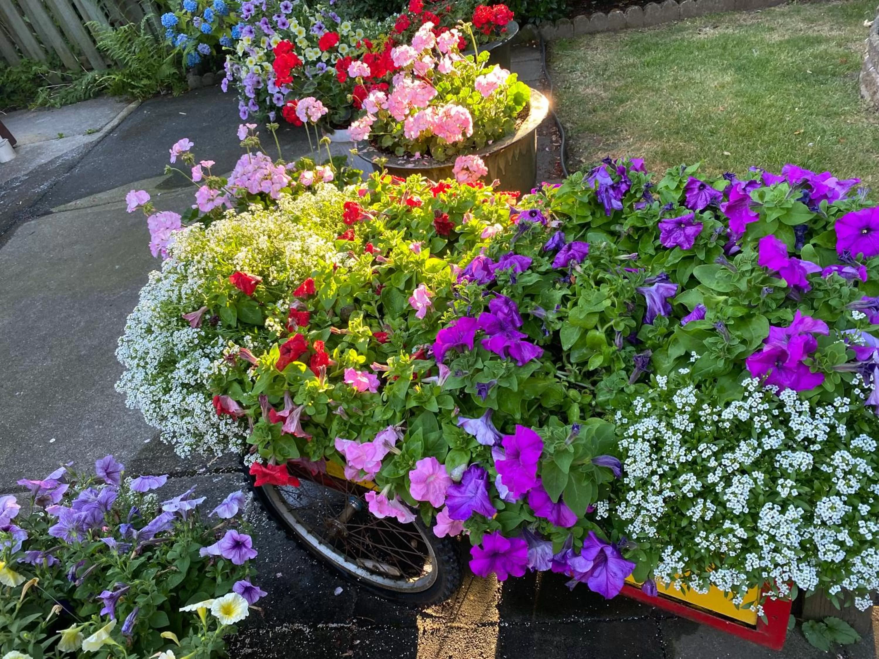 Day, Garden in Serenity