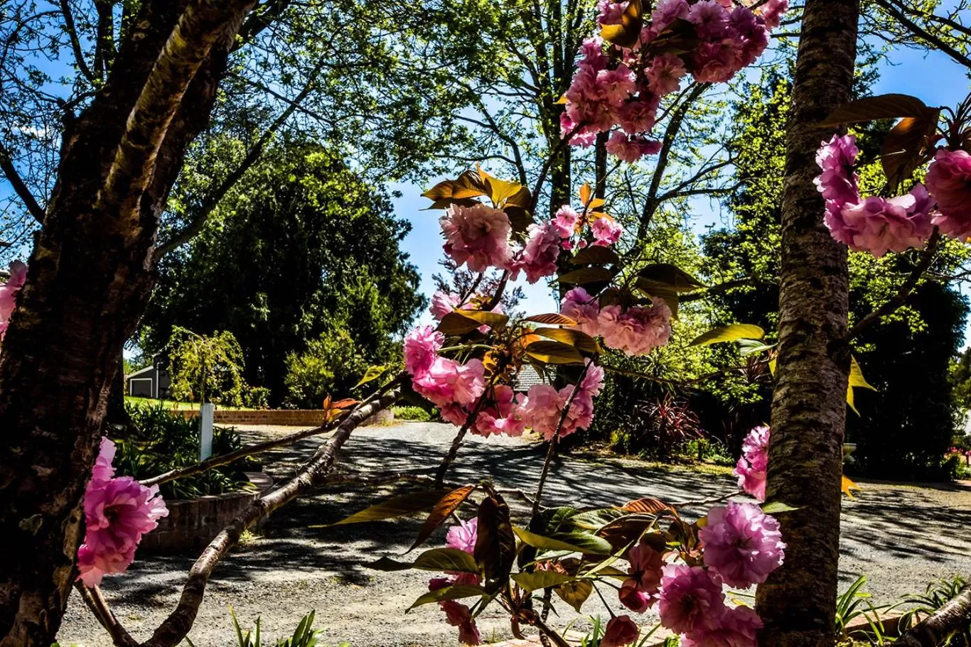 Garden in Bundanoon Lodge