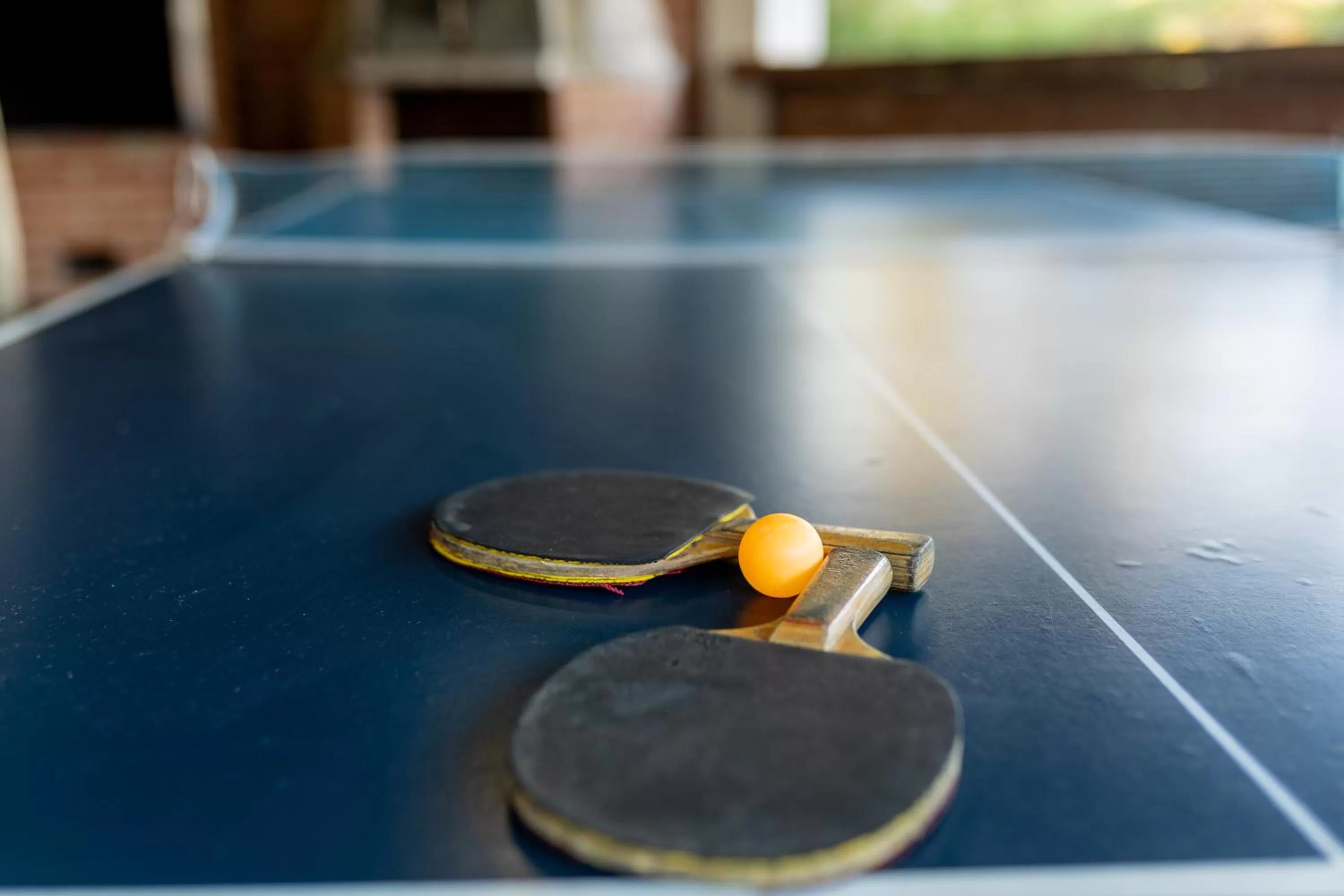 Table Tennis in Chalés 3 Pinheiros