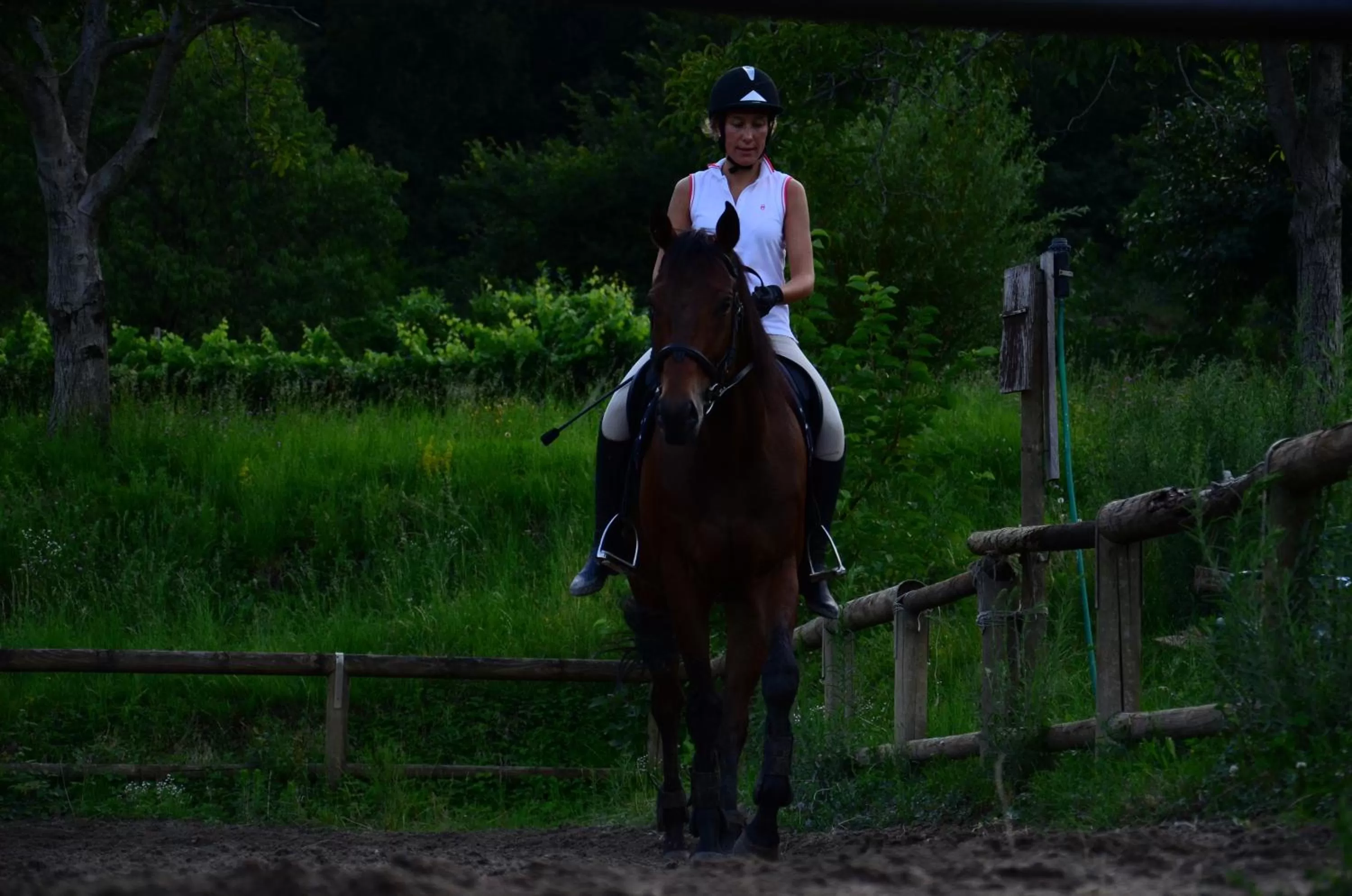 Horse-riding, Horseback Riding in Agriturismo Locanda Del Pesco