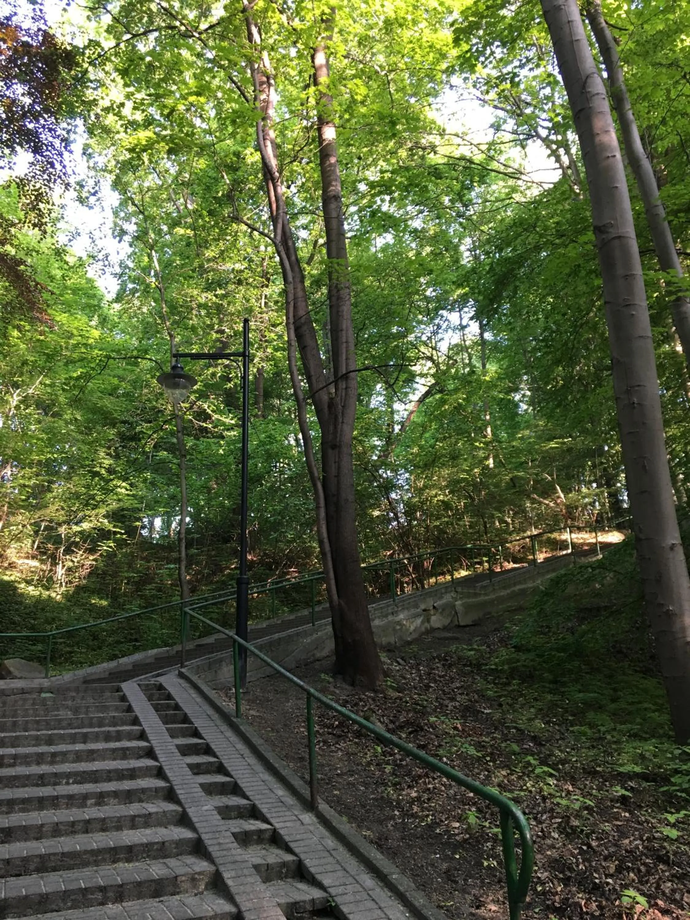 Neighbourhood in Hotel Miramar