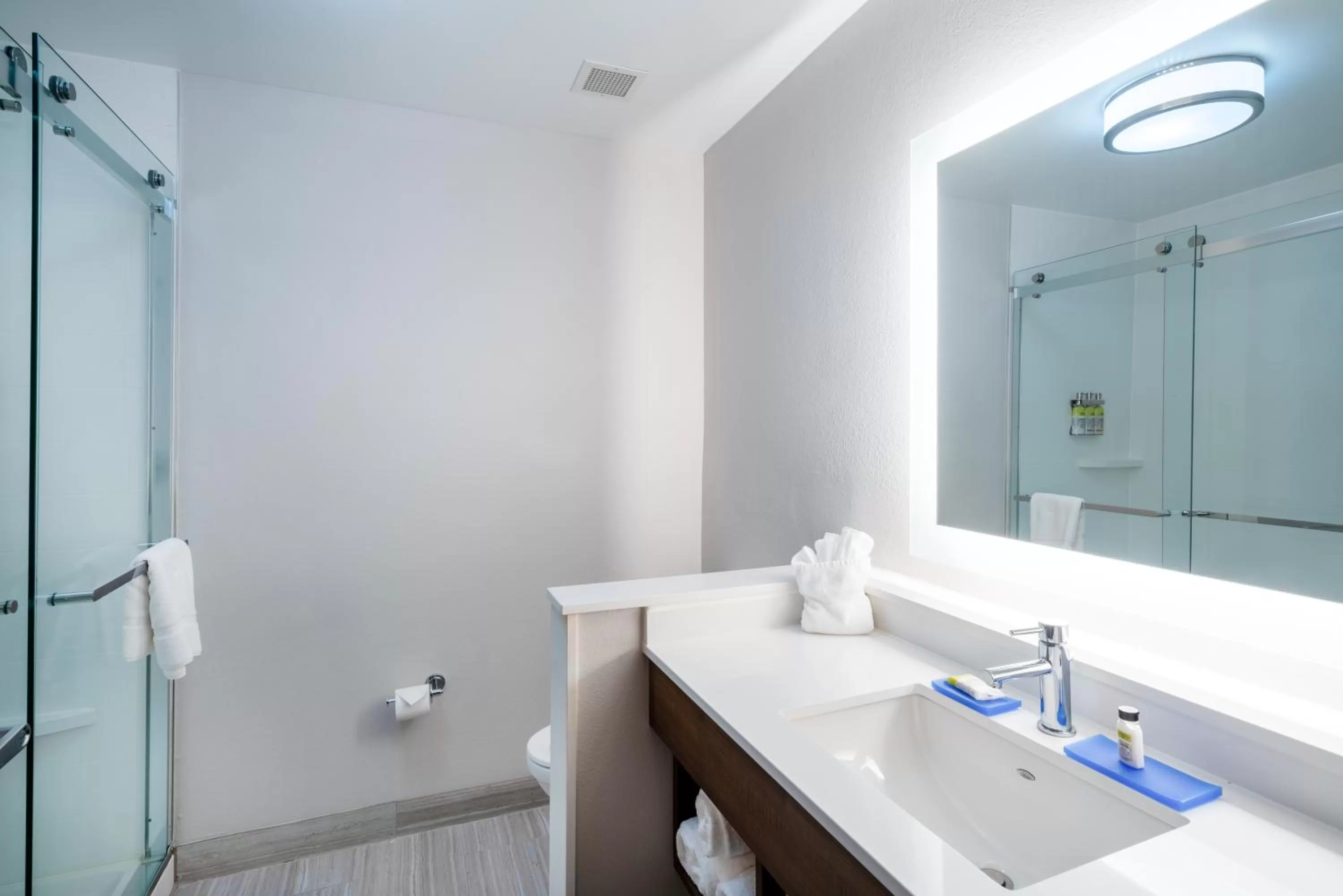 Bathroom in Holiday Inn Express & Suites Atlanta Airport NE - Hapeville by IHG