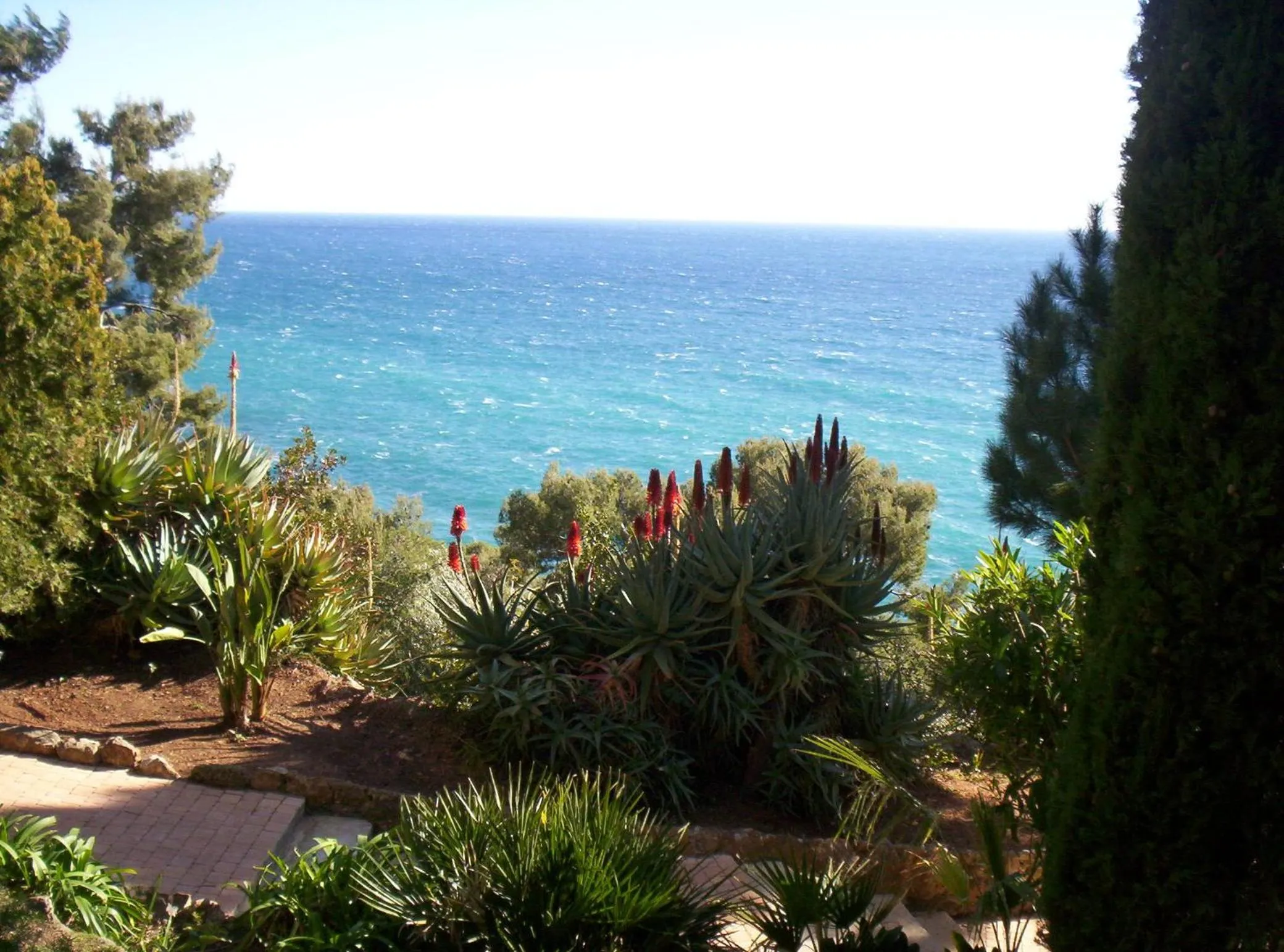 Area and facilities in Hotel Miramar