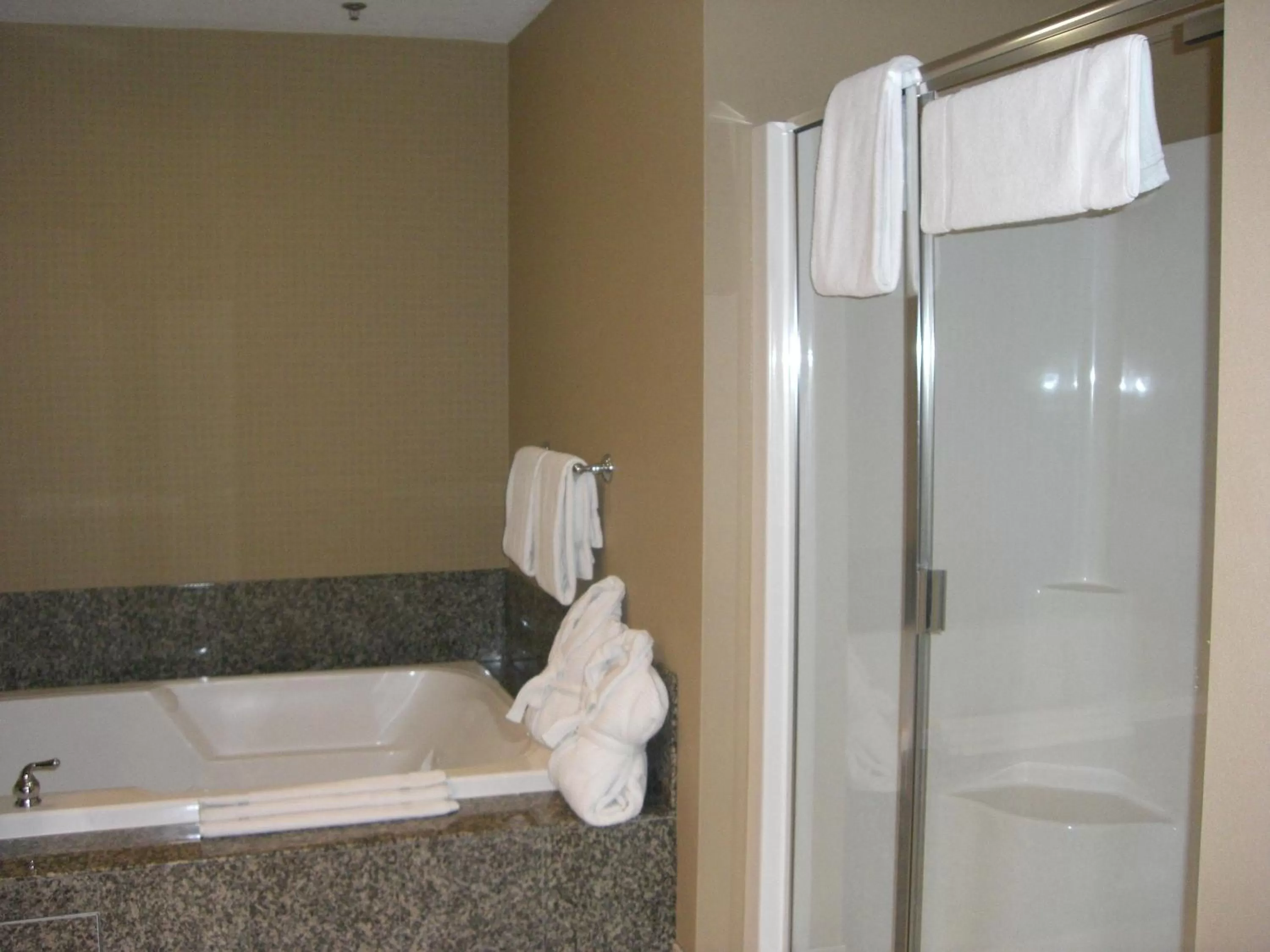Shower in Holiday Inn St. Paul Northeast - Lake Elmo by IHG