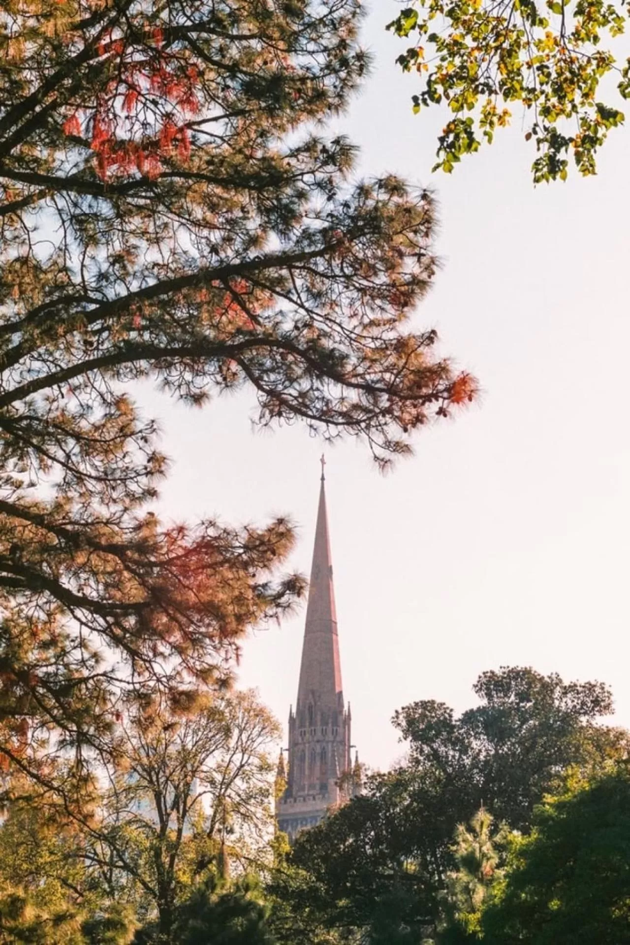 Caroline Serviced Apartments Richmond