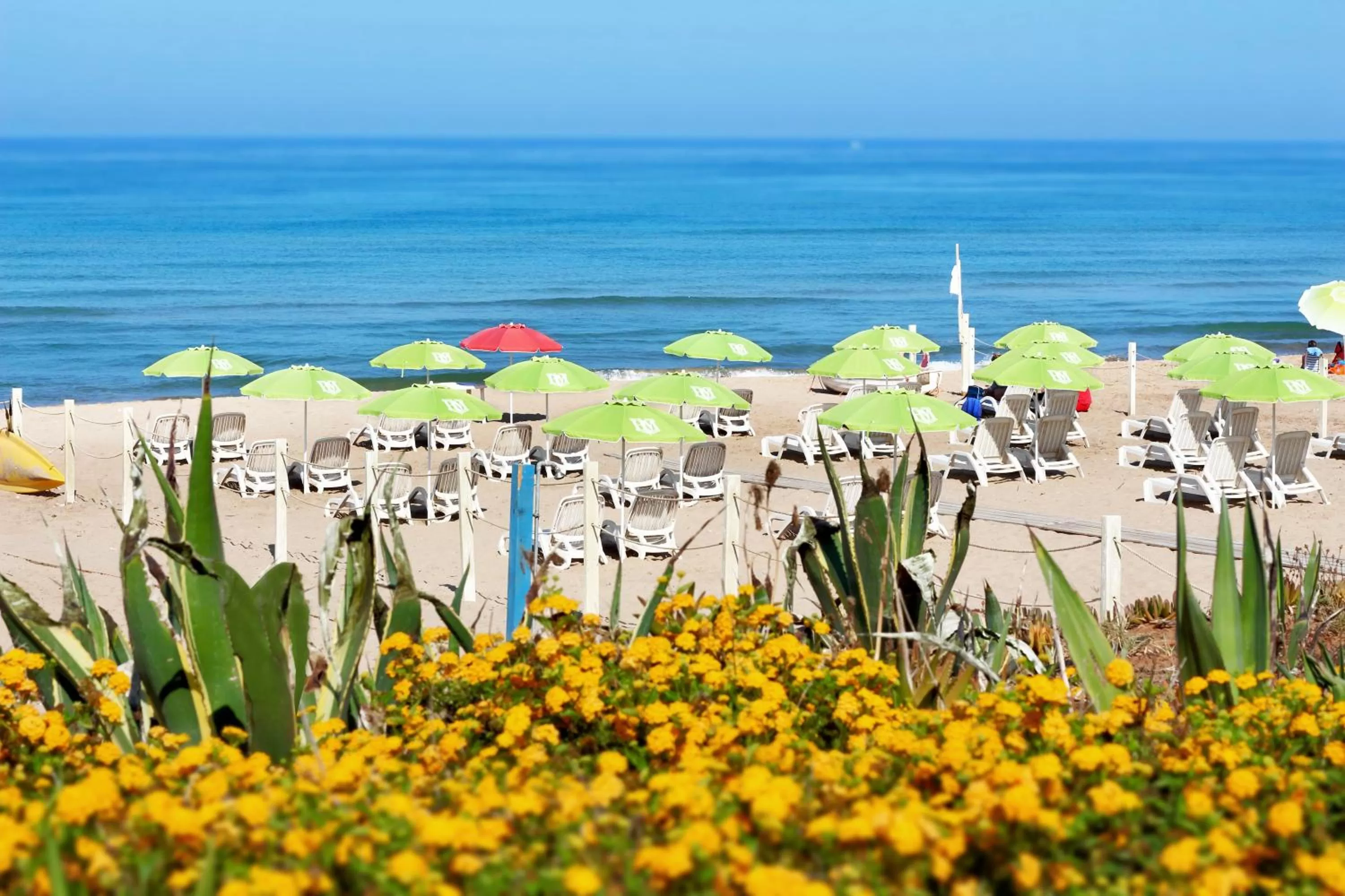 Spring in Hotel Mida