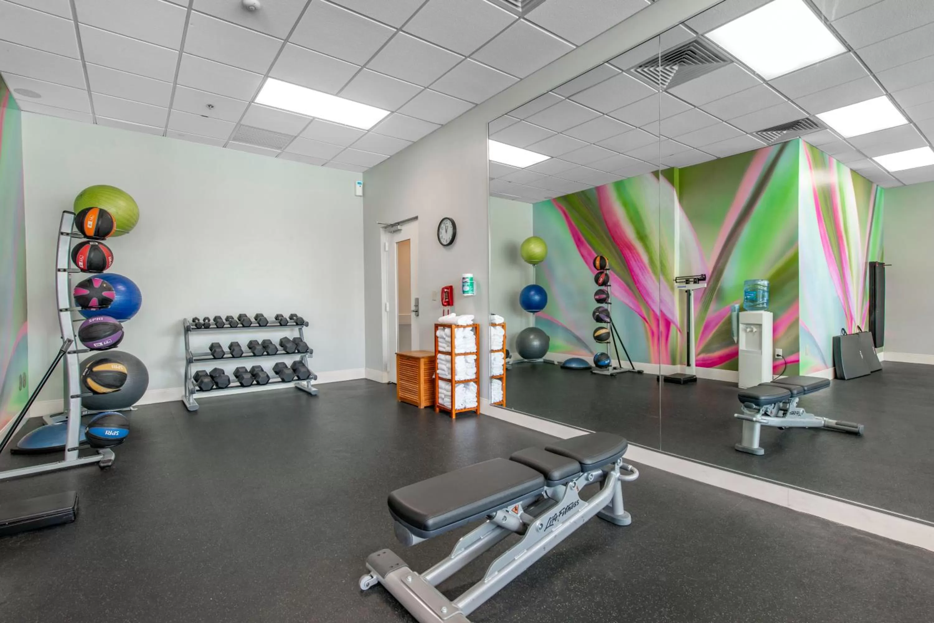 Fitness centre/facilities in Holiday Inn Orlando – Disney Springs® Area by IHG
