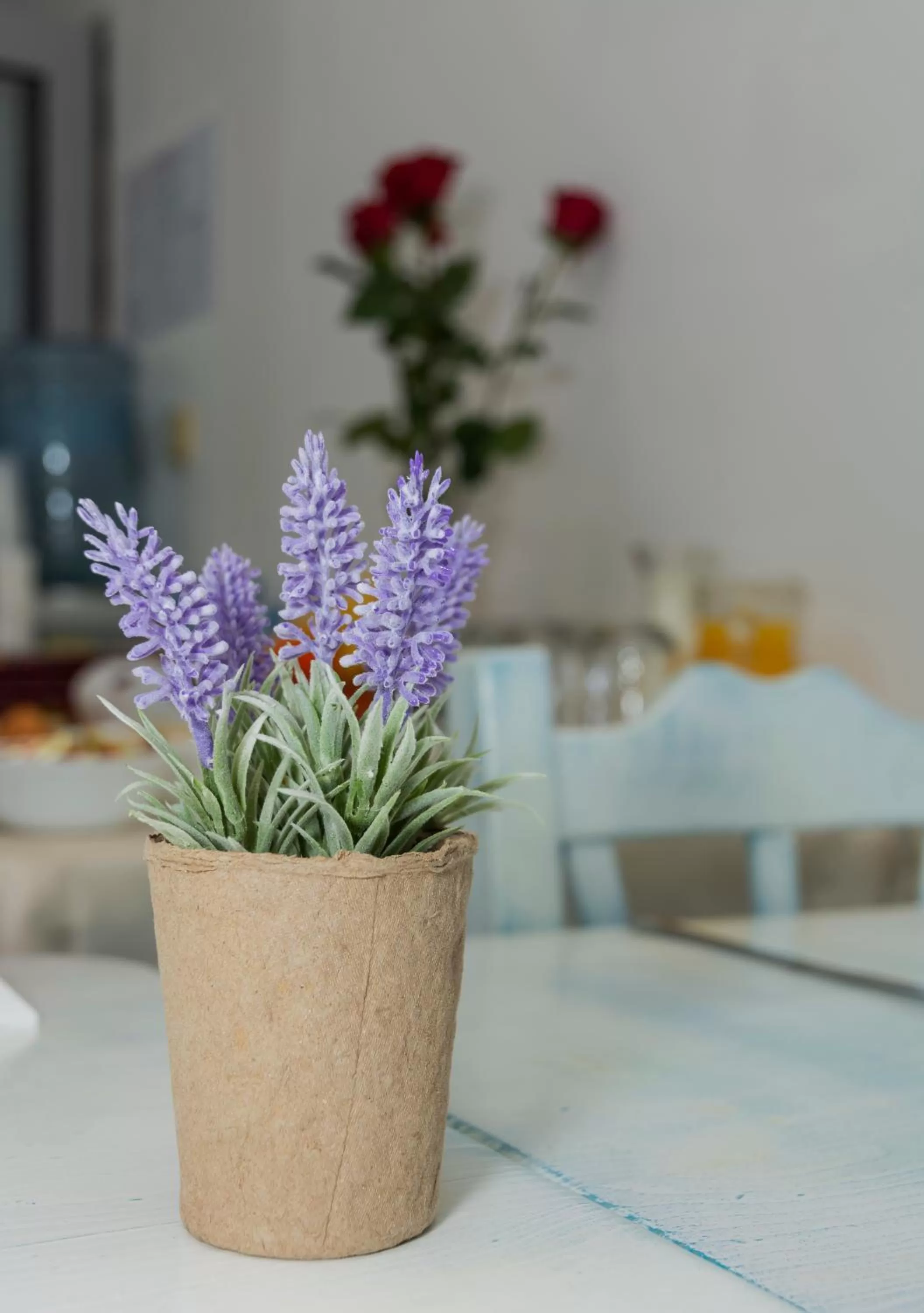 Restaurant/places to eat in Hotel City