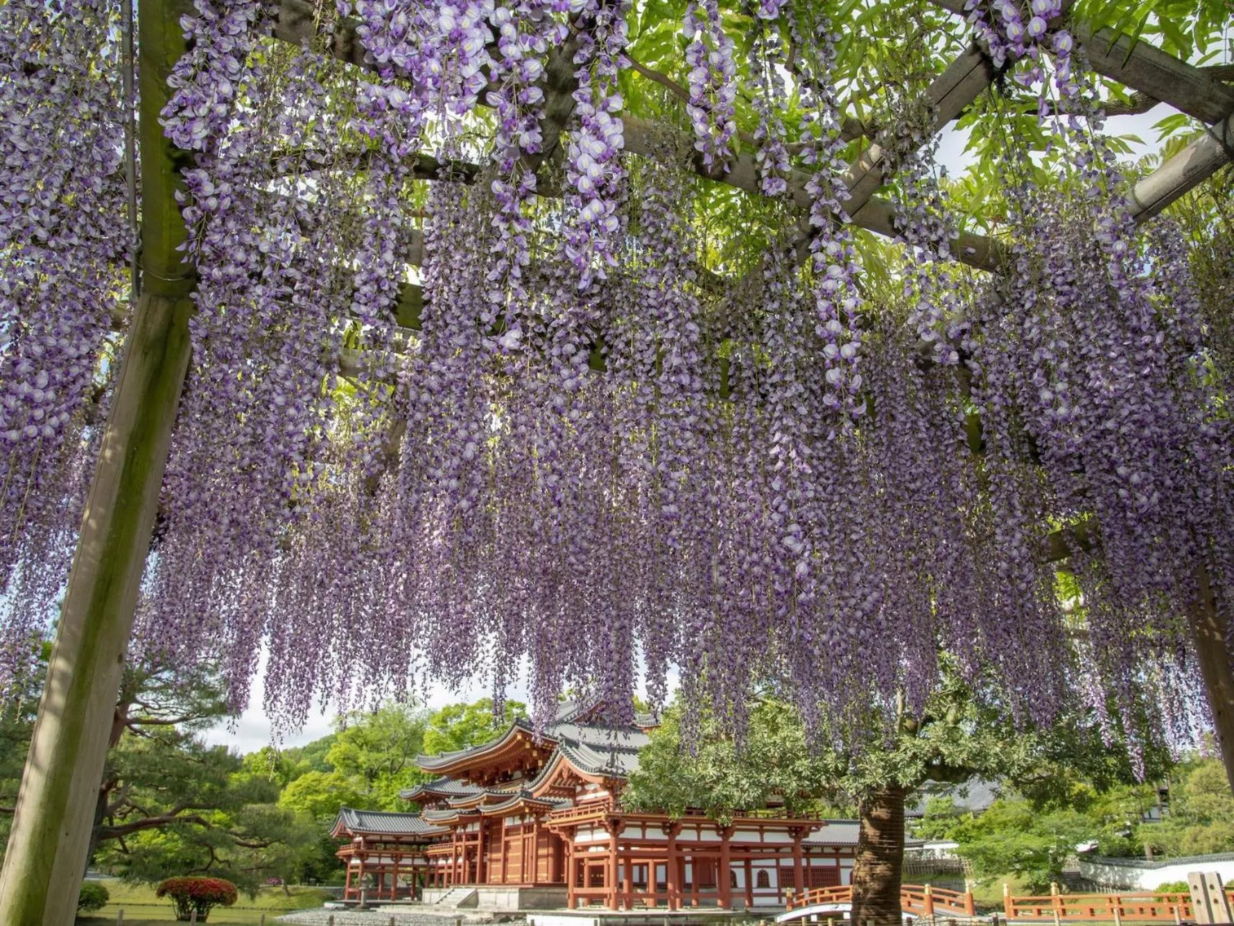 Off site in Hanayashiki Ukifune-en