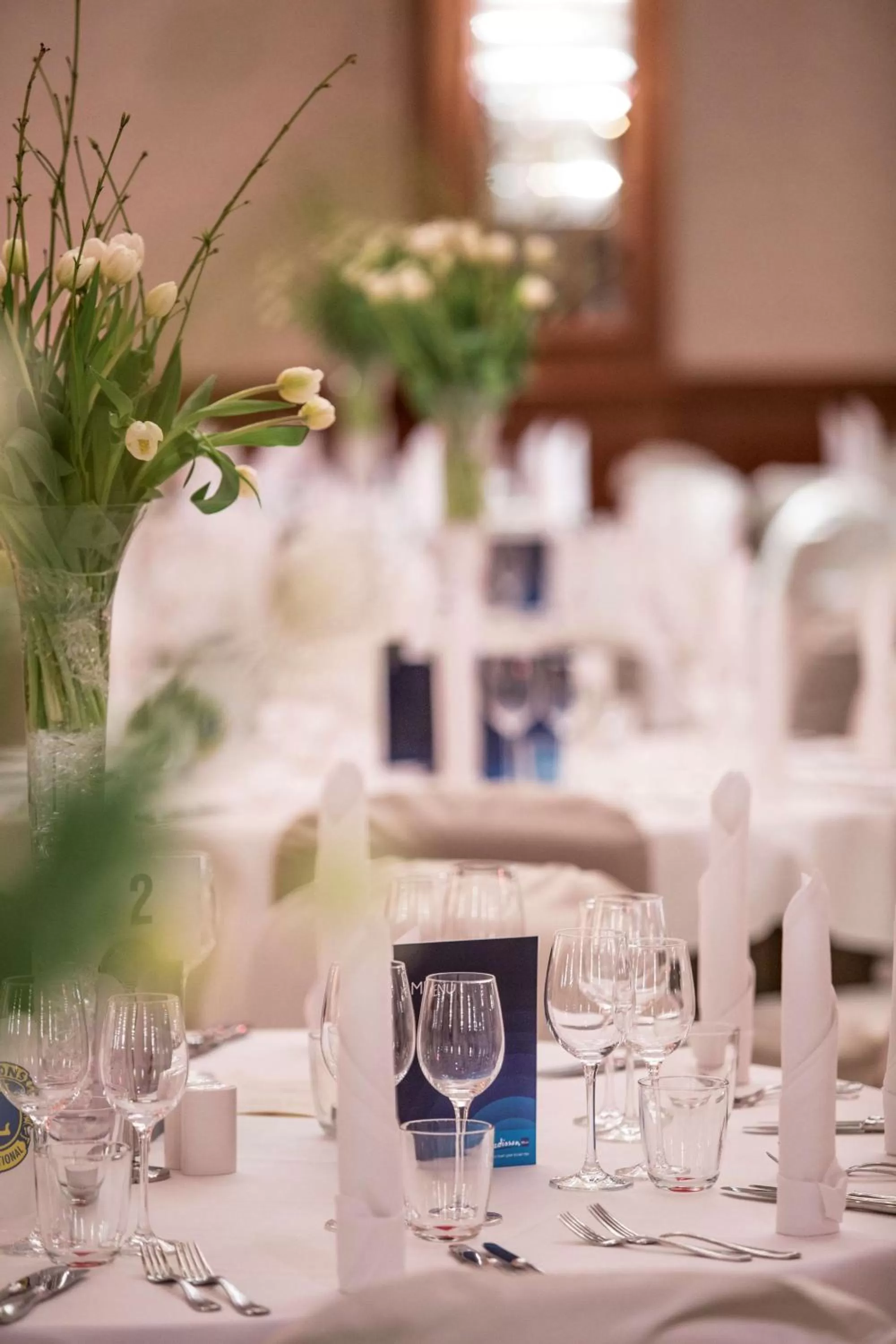 Other in Radisson Blu Hotel Cottbus