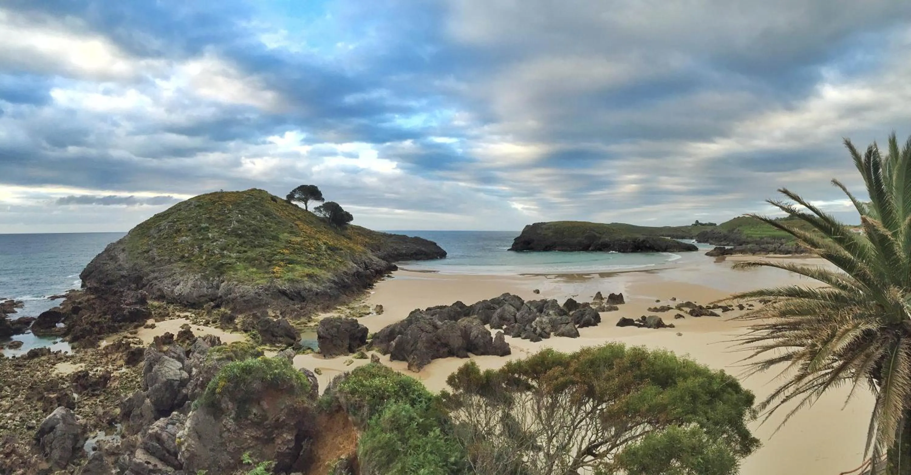 Beach in Apartamentos Albatros