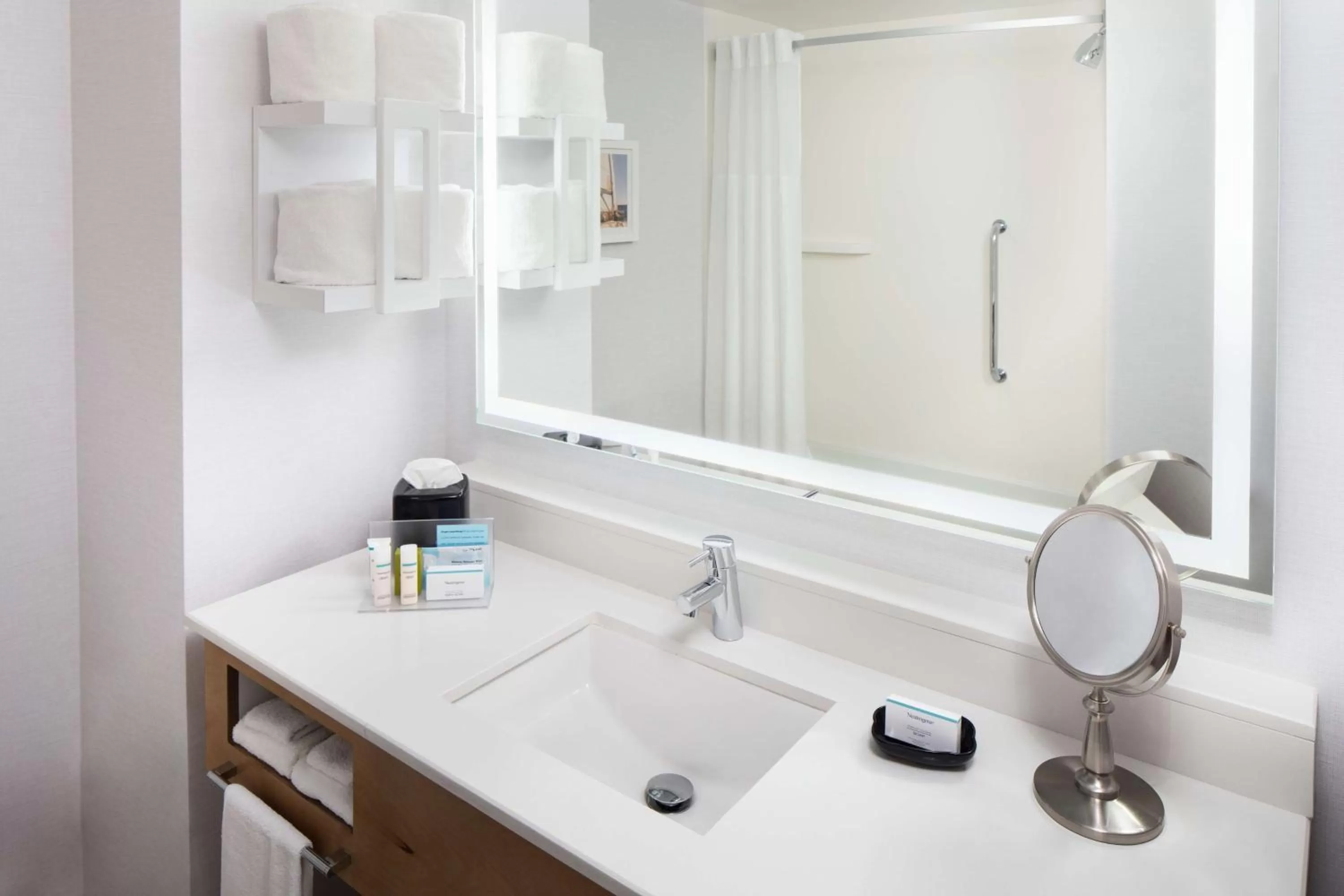 Bathroom in Hampton Inn & Suites by Hilton Miami Downtown/Brickell