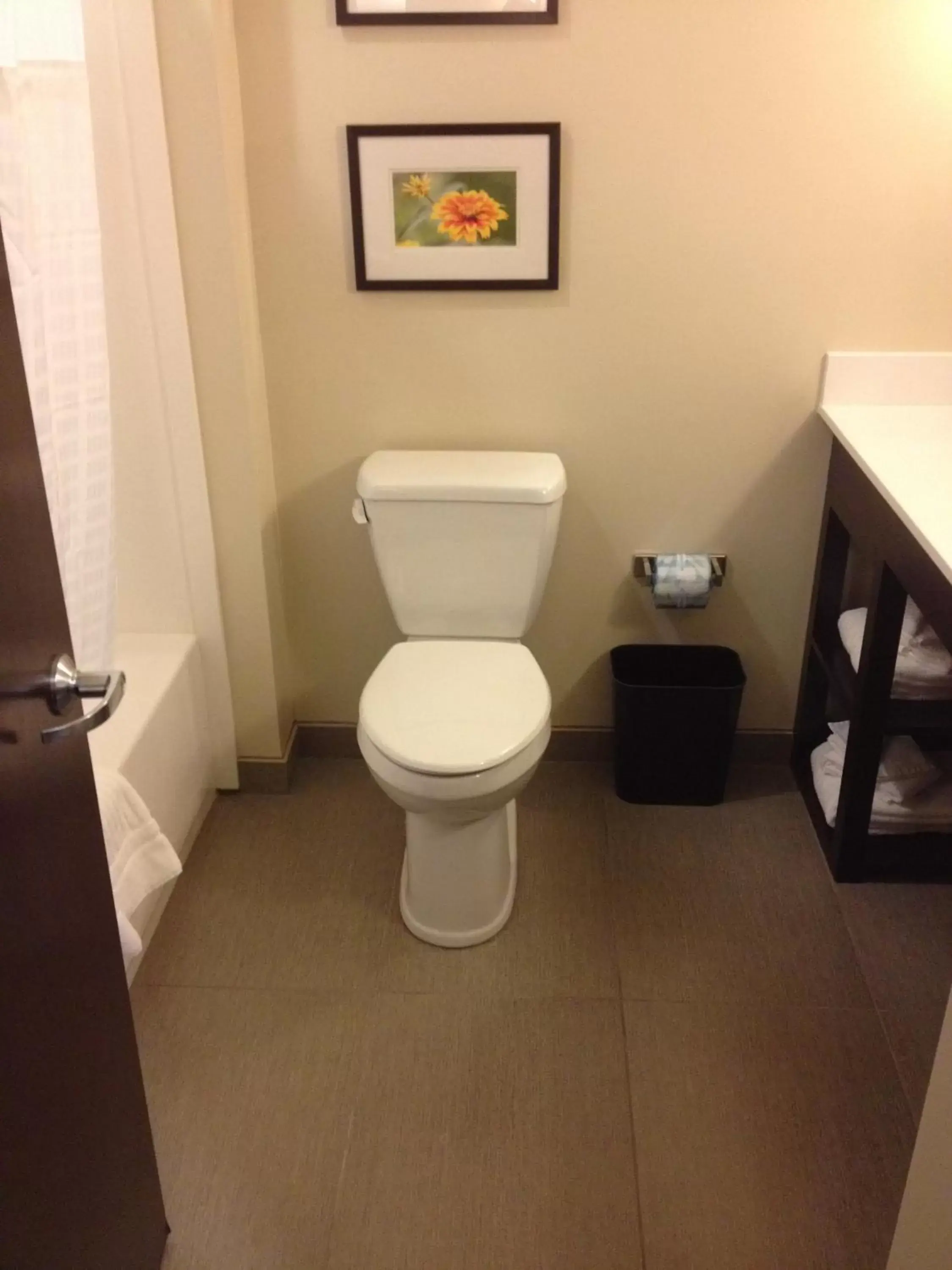 Queen Suite - Non-Smoking in Comfort Suites-Youngstown North Queen Suite - Non-Smoking in Comfort Suites-Youngstown North