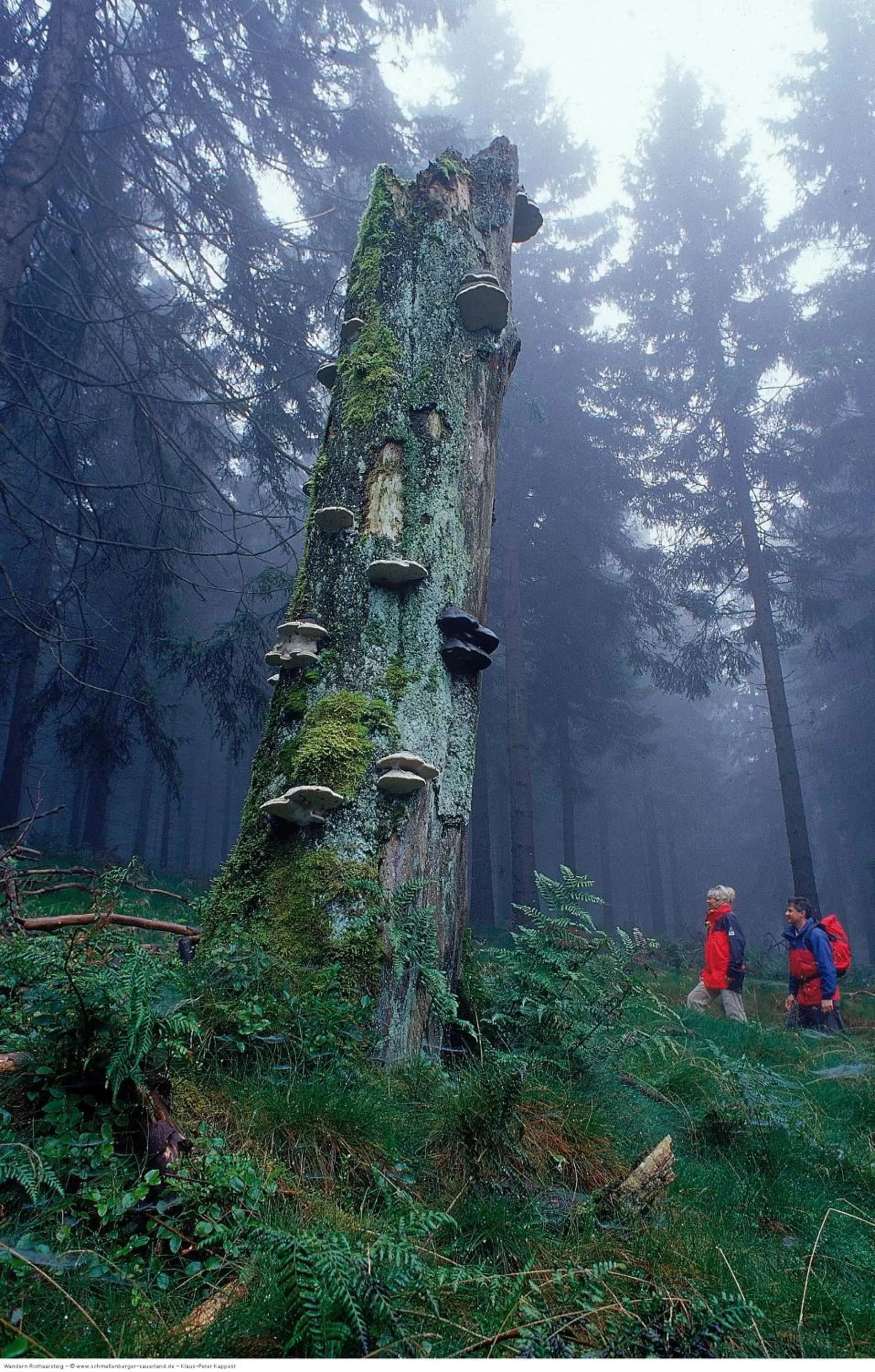 Hiking in Hotel Hanses-Bräutigam