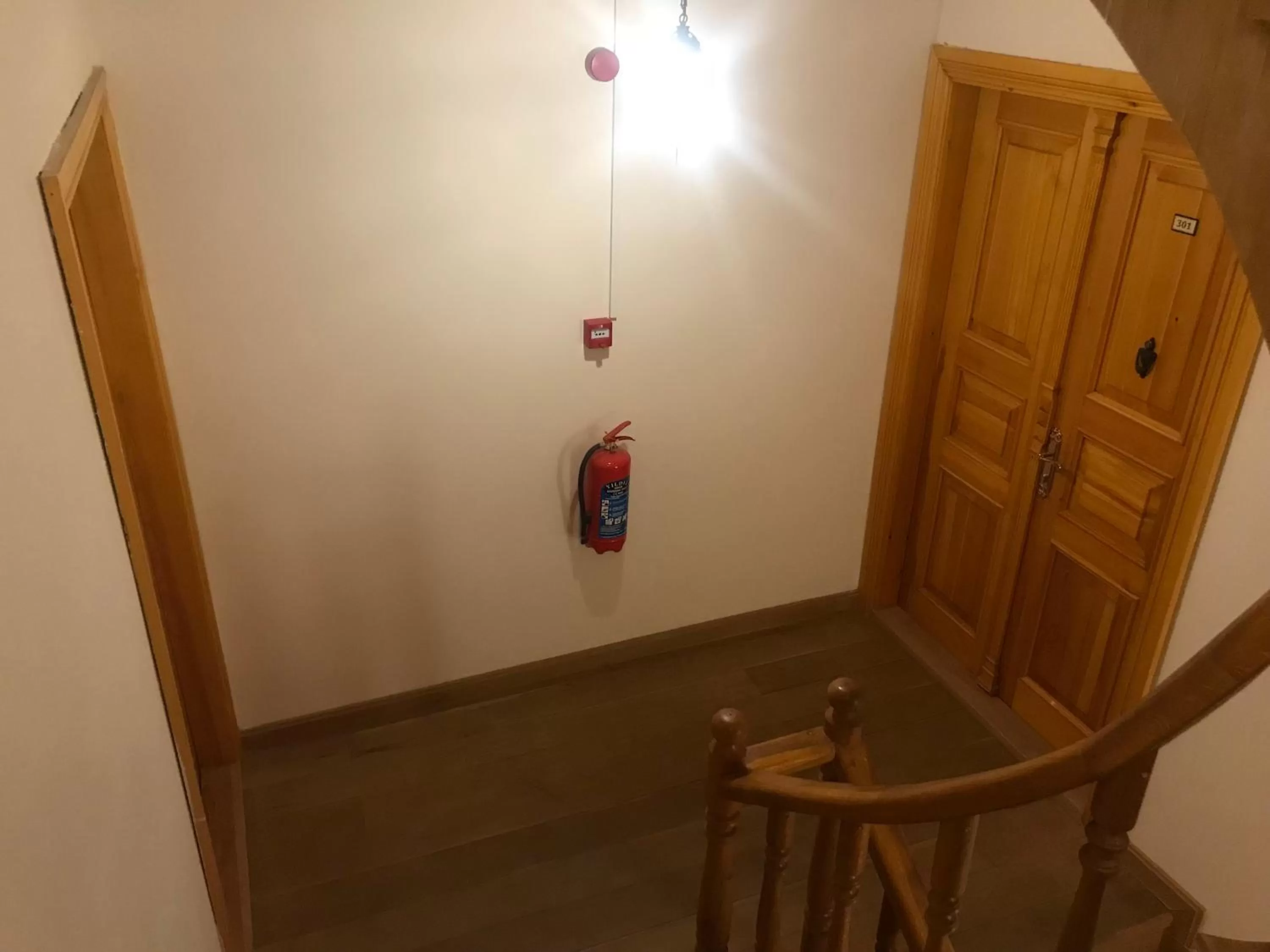 Property building in Green Mansion