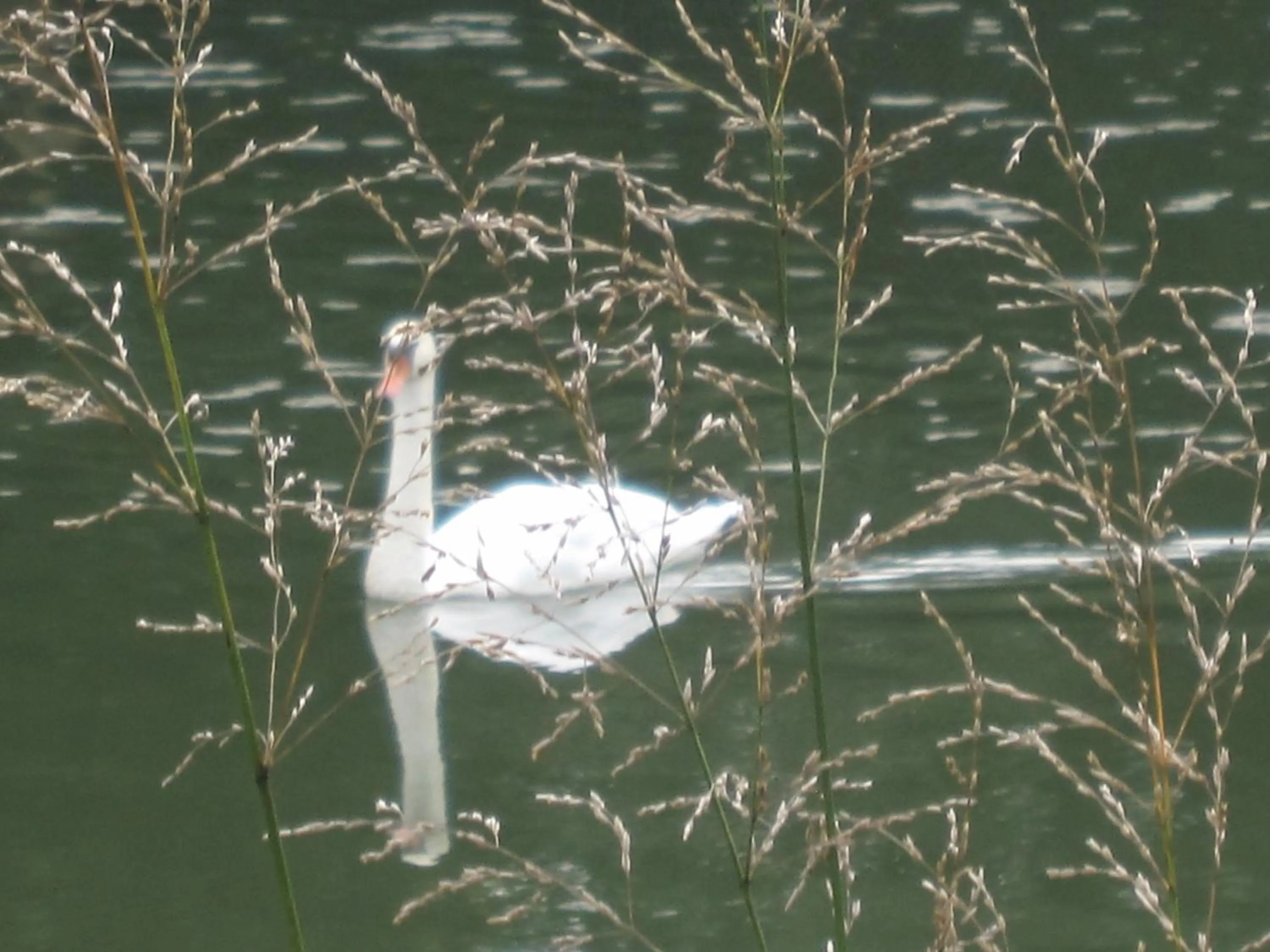 River view in La Coutrotte Becquine
