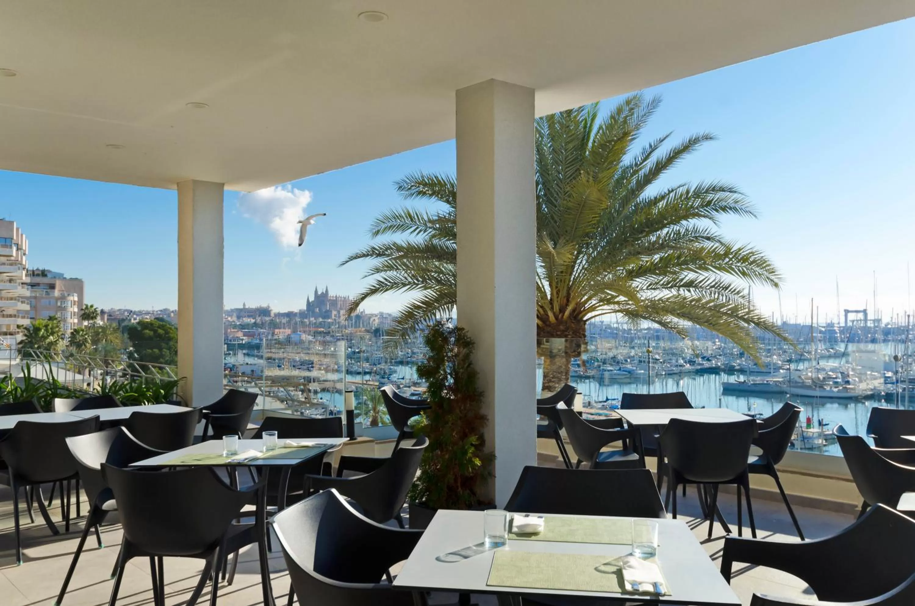 Restaurant/places to eat in Hotel Mirador