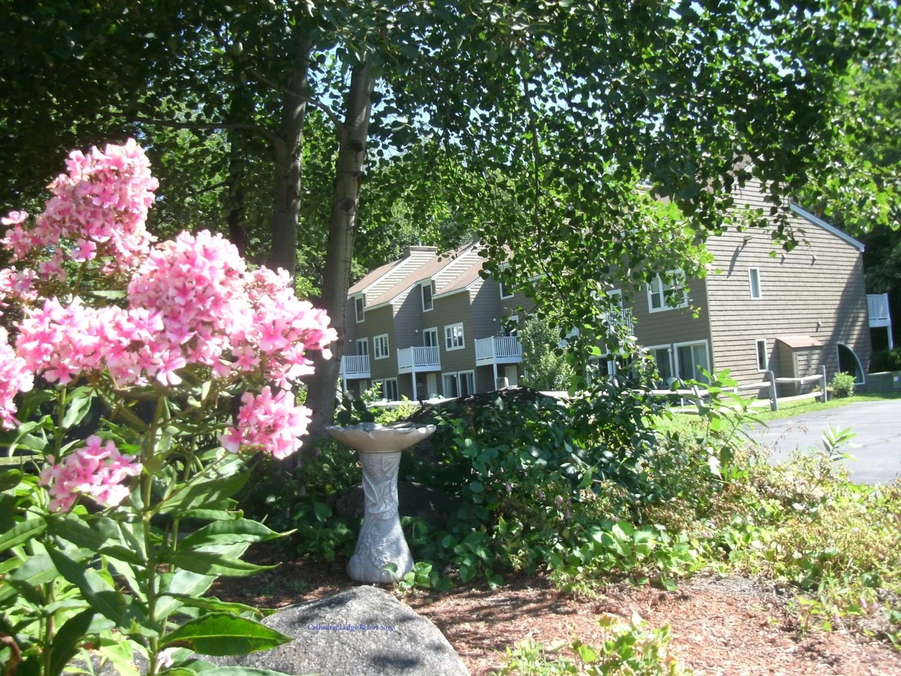 Spring in Cathedral Ledge Resort