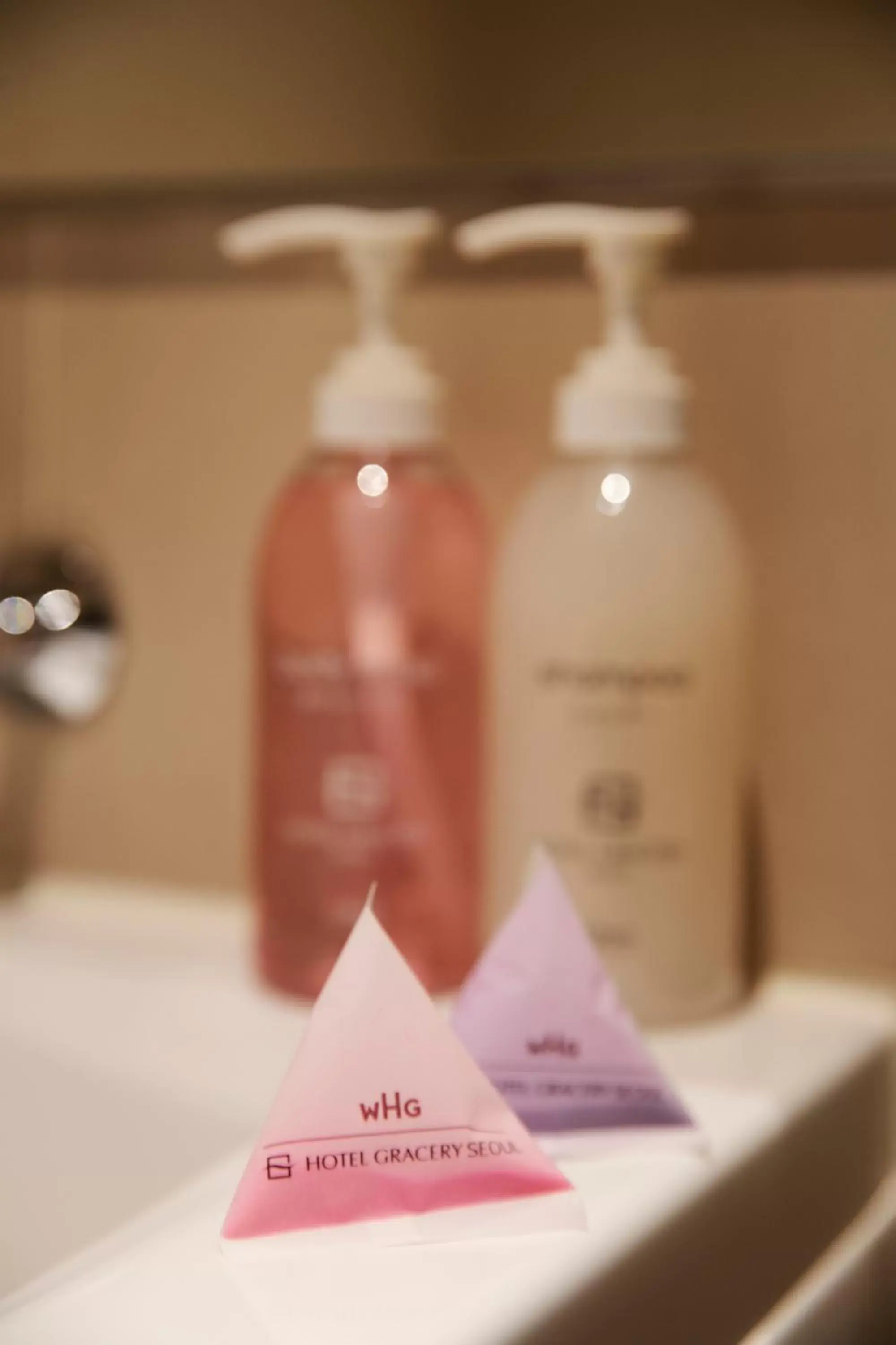 Deluxe Twin Room with Bath in Hotel Gracery Seoul Deluxe Twin Room with Bath in Hotel Gracery Seoul